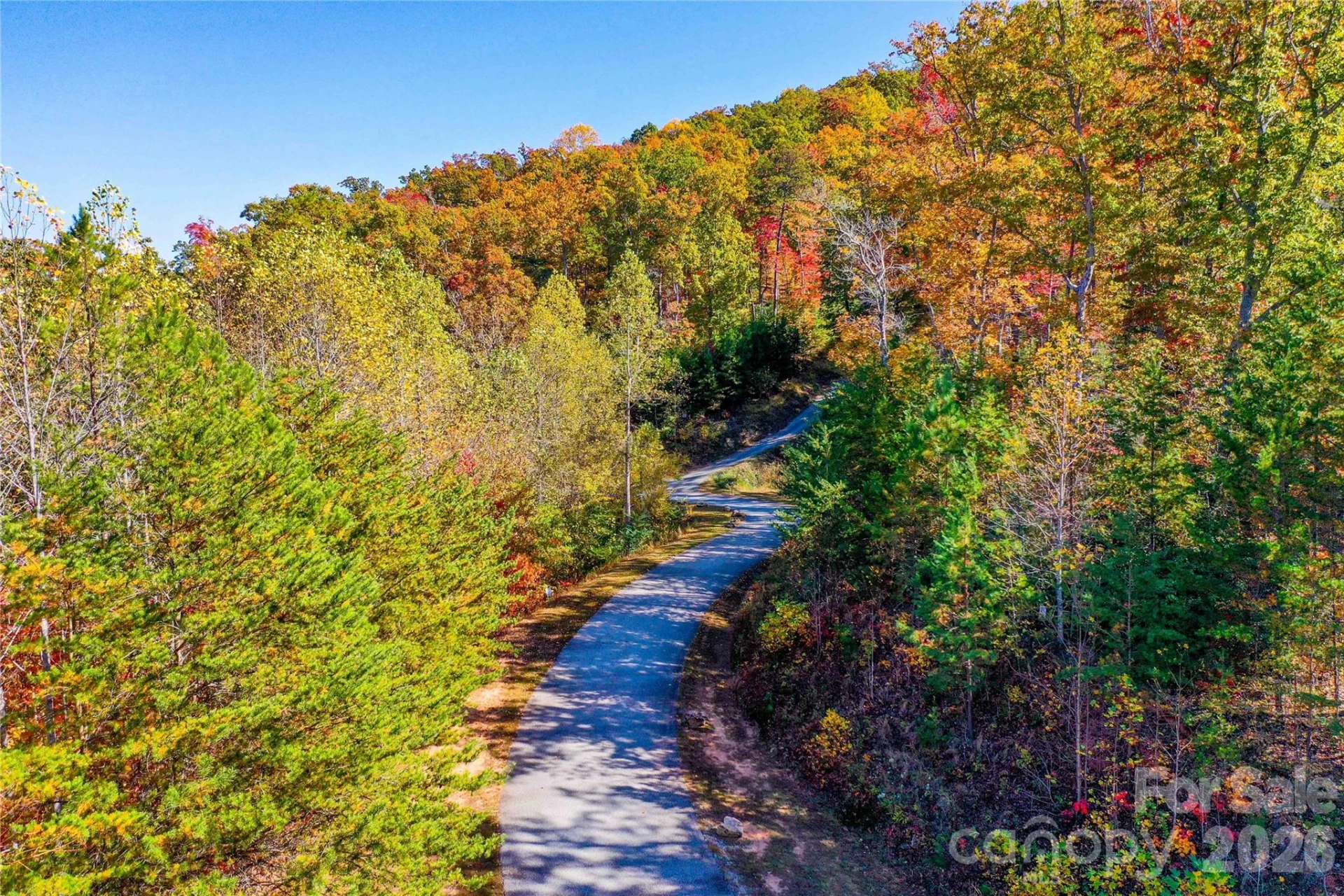 0 High Pines Loop #157 - Photo 9
