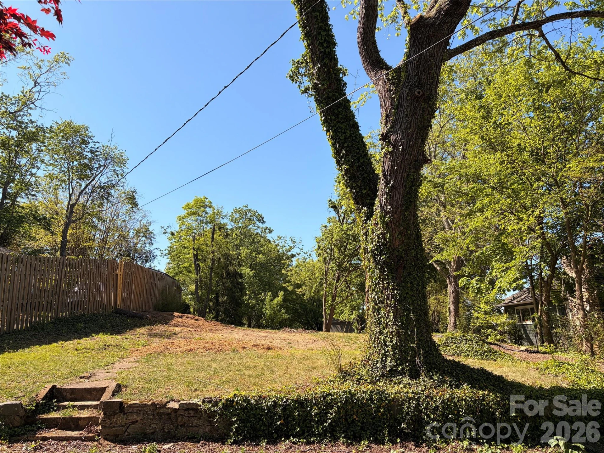 17 Irving Street - Photo 3