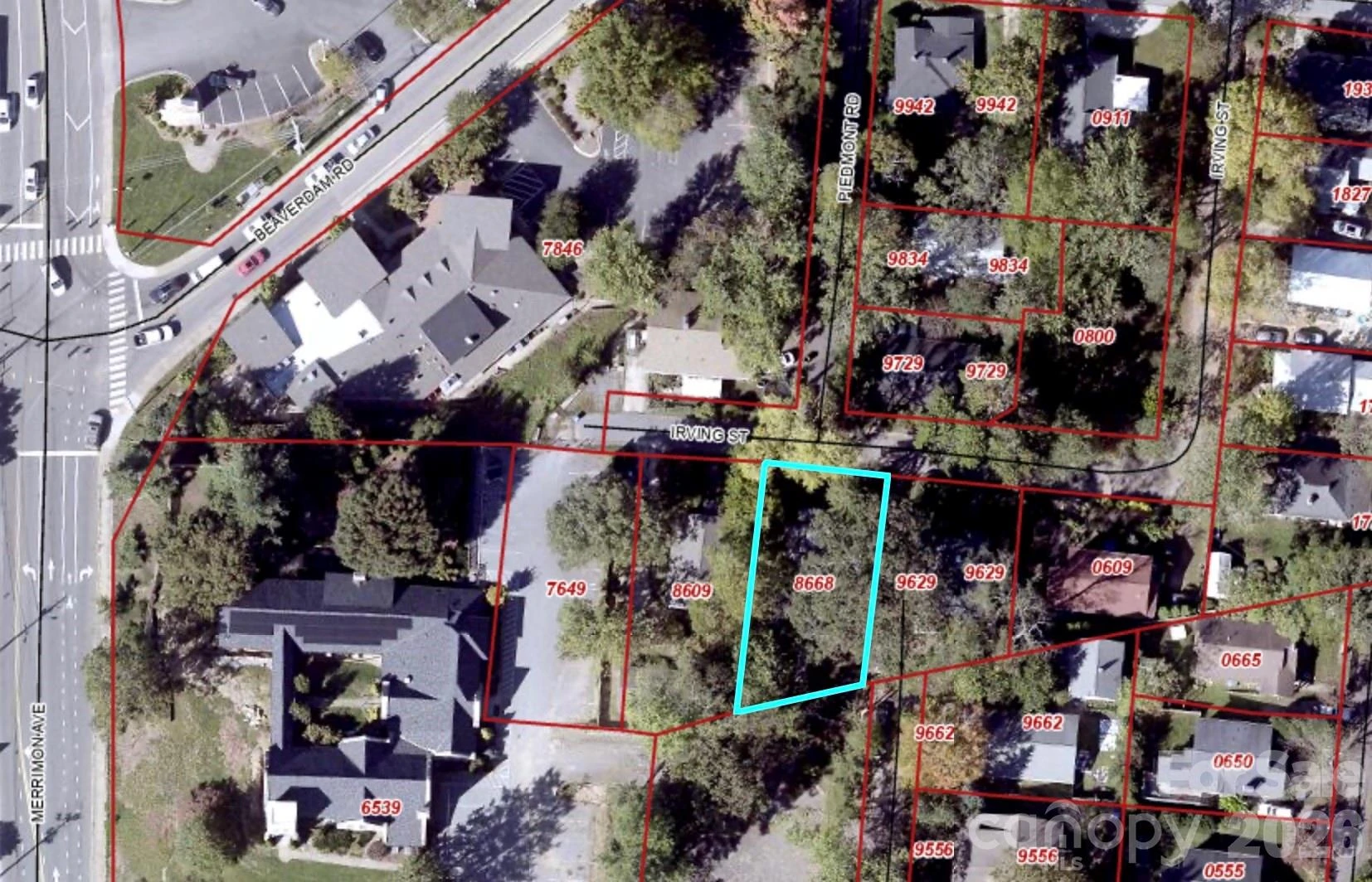17 Irving Street - Photo 4