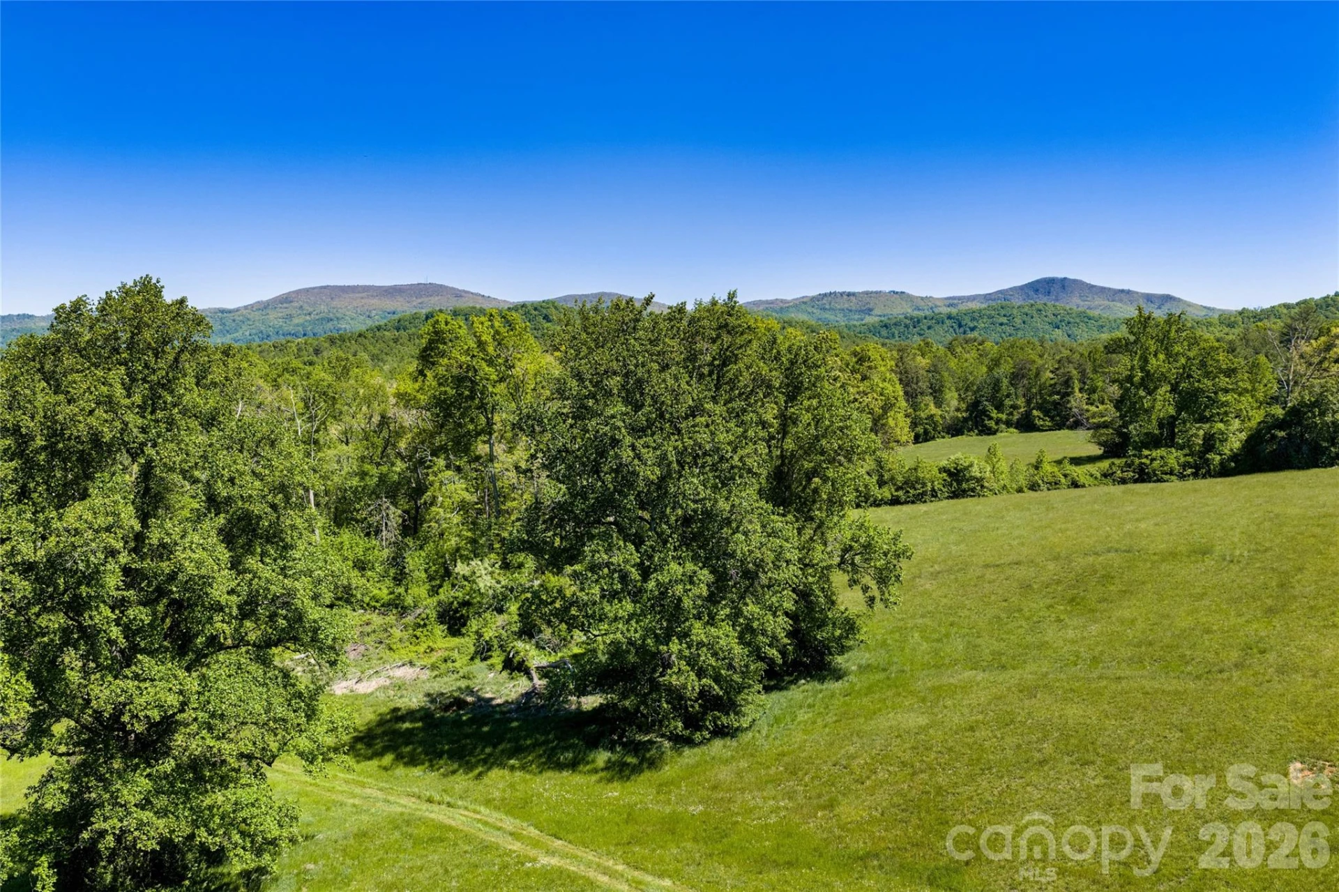 99999 Sugar Hollow Road - Photo 4