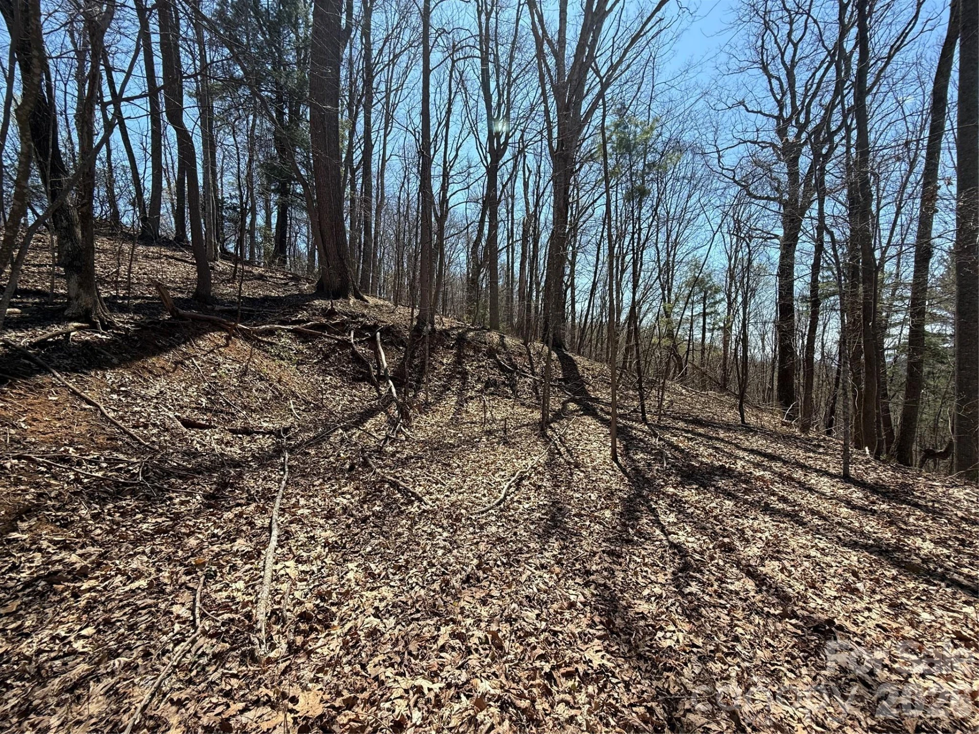 000 Granny Shepherd Road #Lot 3 - Photo 4