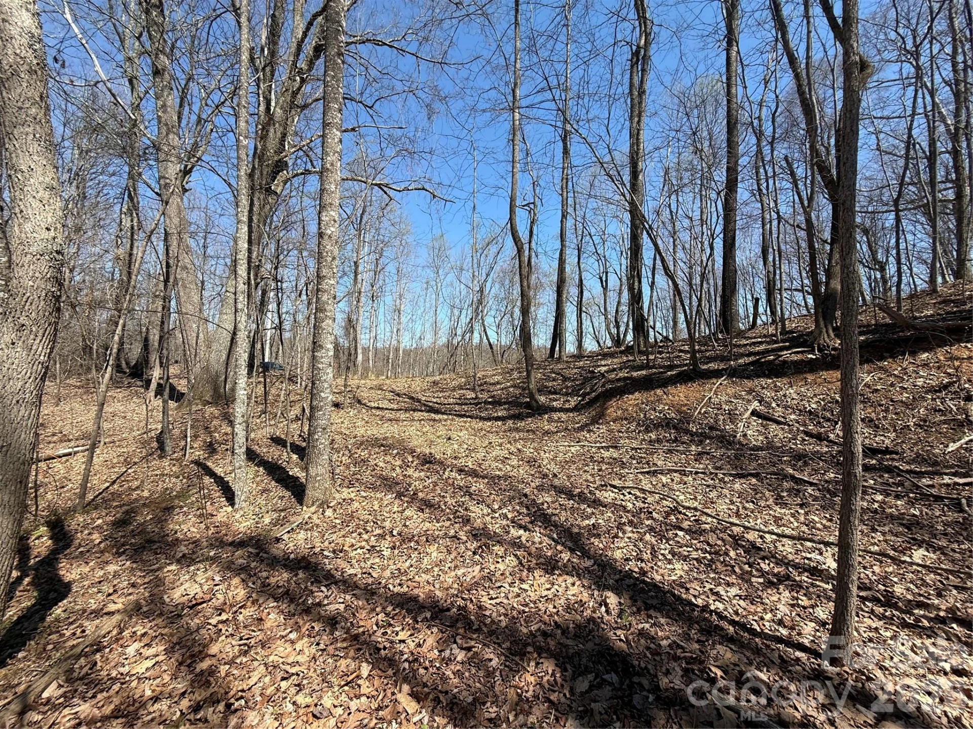 000 Granny Shepherd Road #Lot 3 - Photo 5