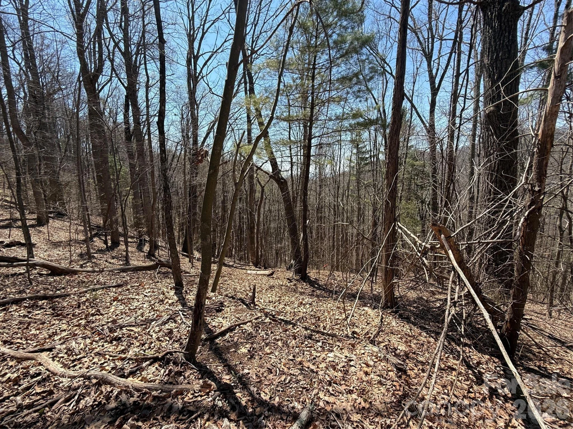 000 Granny Shepherd Road #Lot 3 - Photo 6