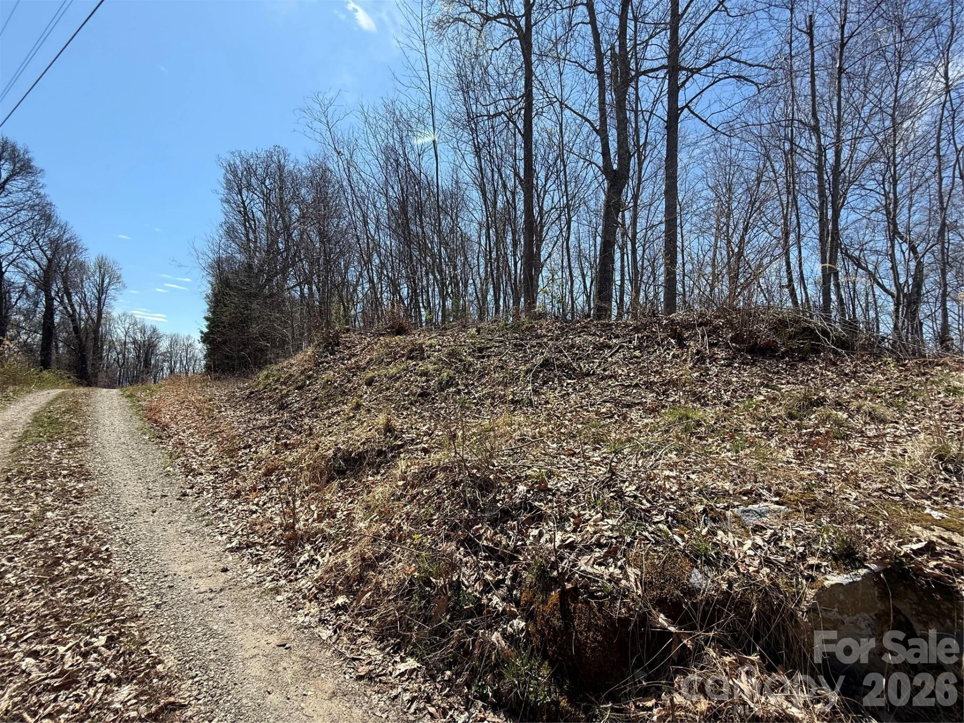 000 Granny Shepherd Road #lot 4 - Photo 2