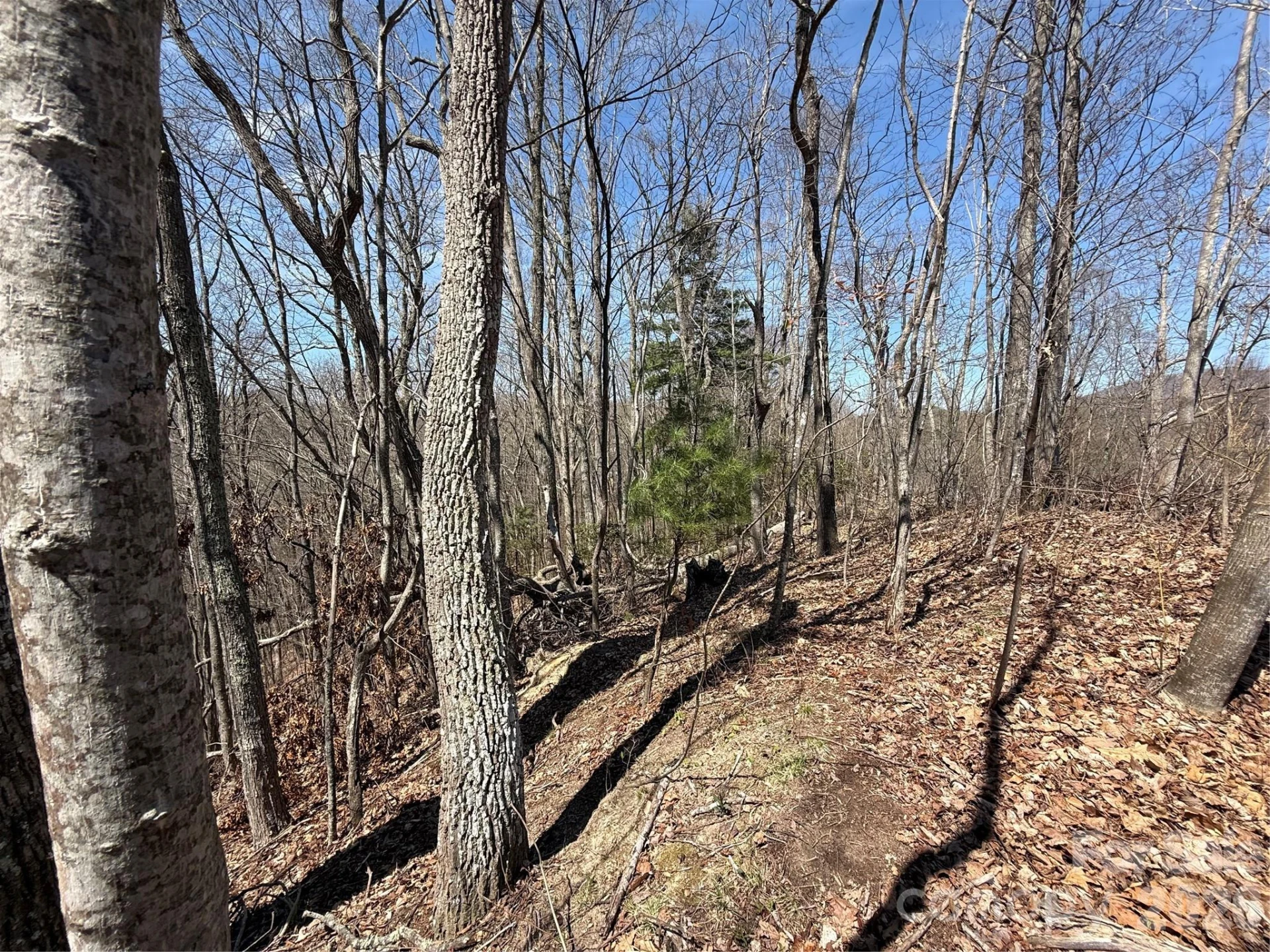 000 Granny Shepherd Road #lot 4 - Photo 15