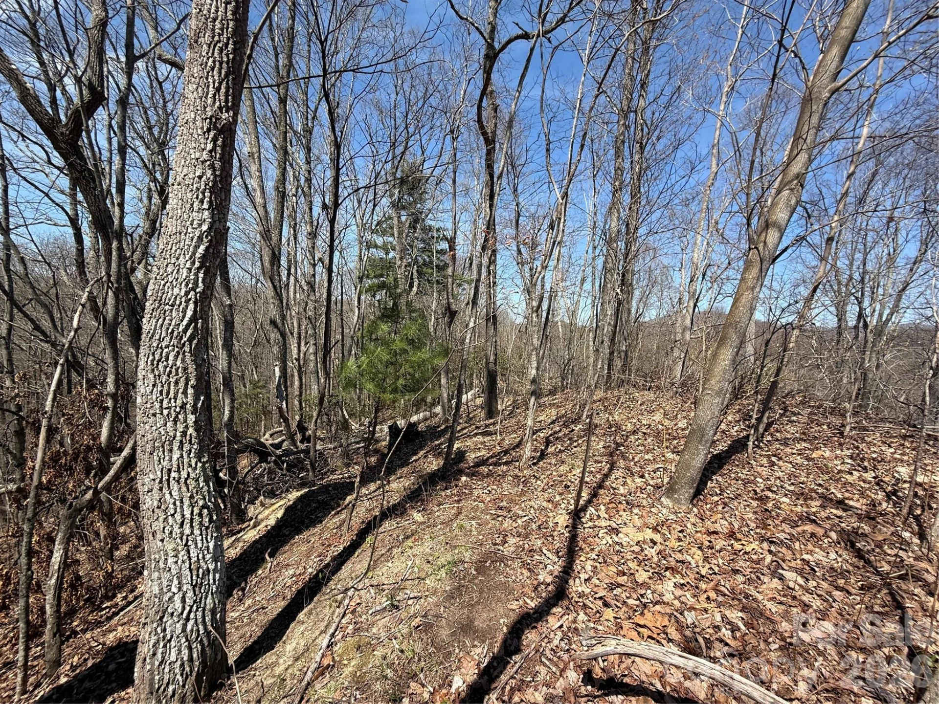 000 Granny Shepherd Road #lot 4 - Photo 16