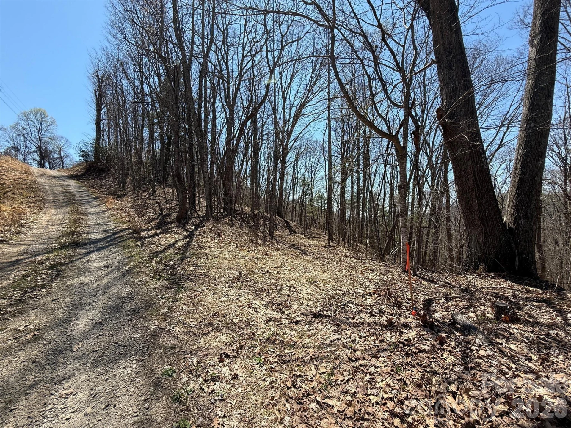 000 Granny Shepherd Road #lot 4 - Photo 3