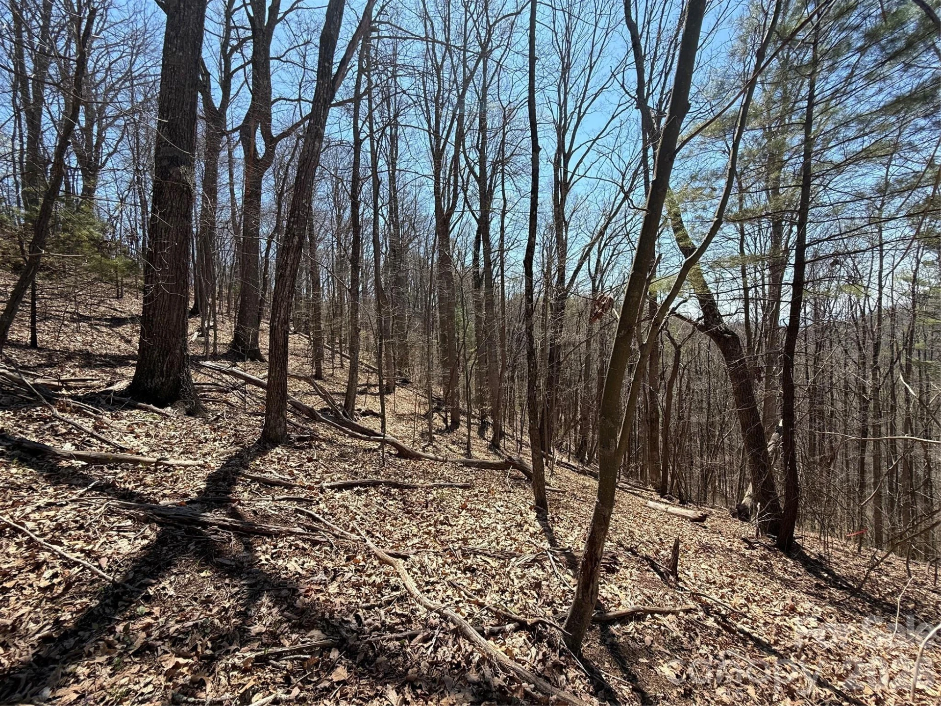000 Granny Shepherd Road #lot 4 - Photo 7