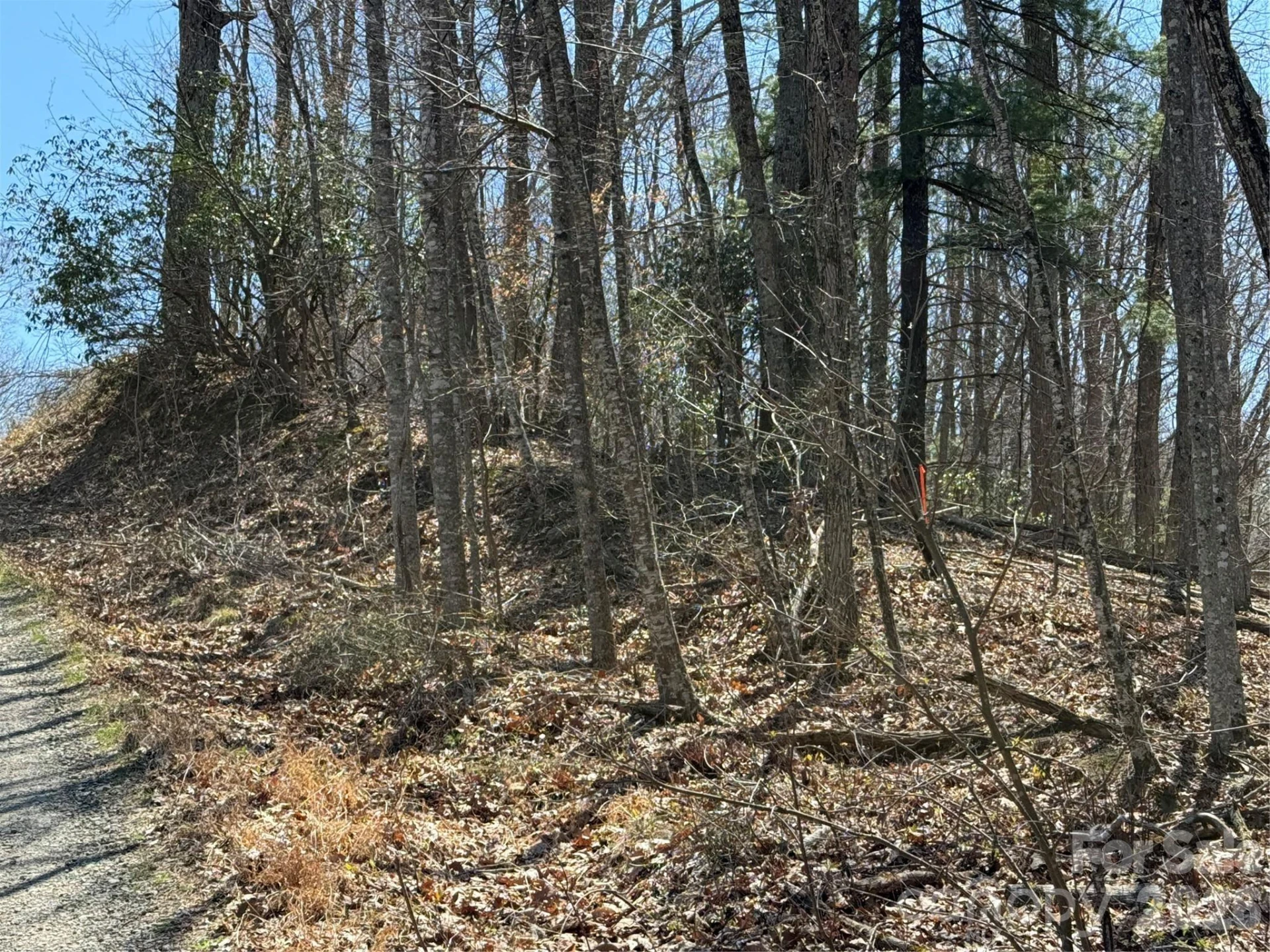000 Granny Shepherd Road #lot 4 - Photo 8