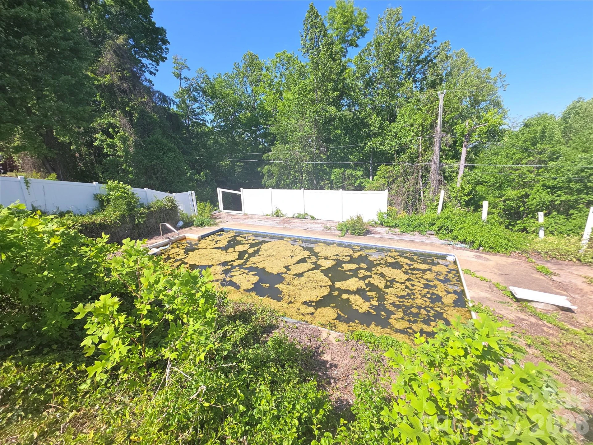 68 Nancy Tolley Street - Photo 7