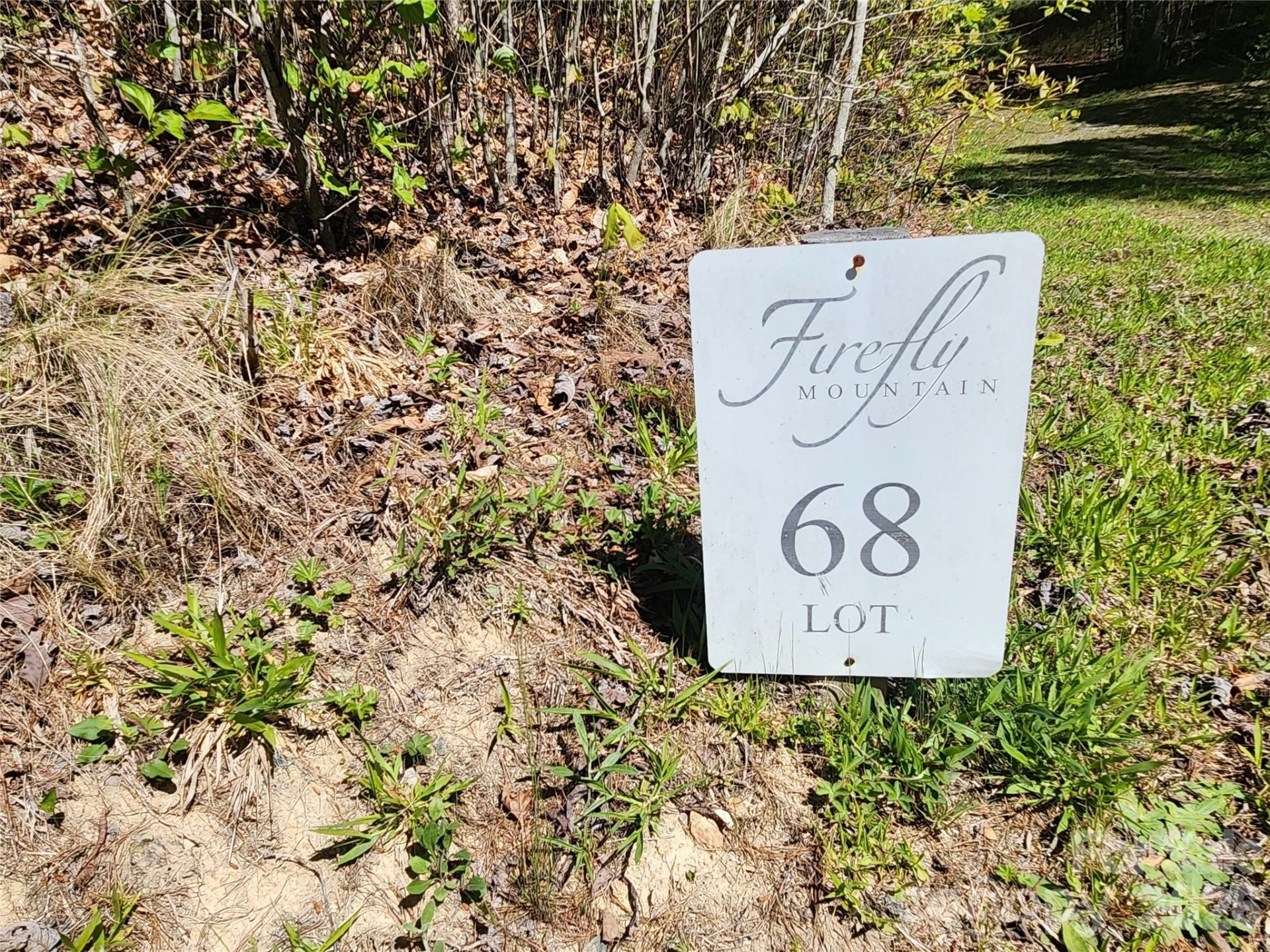 889 Firefly Trail - Photo 16