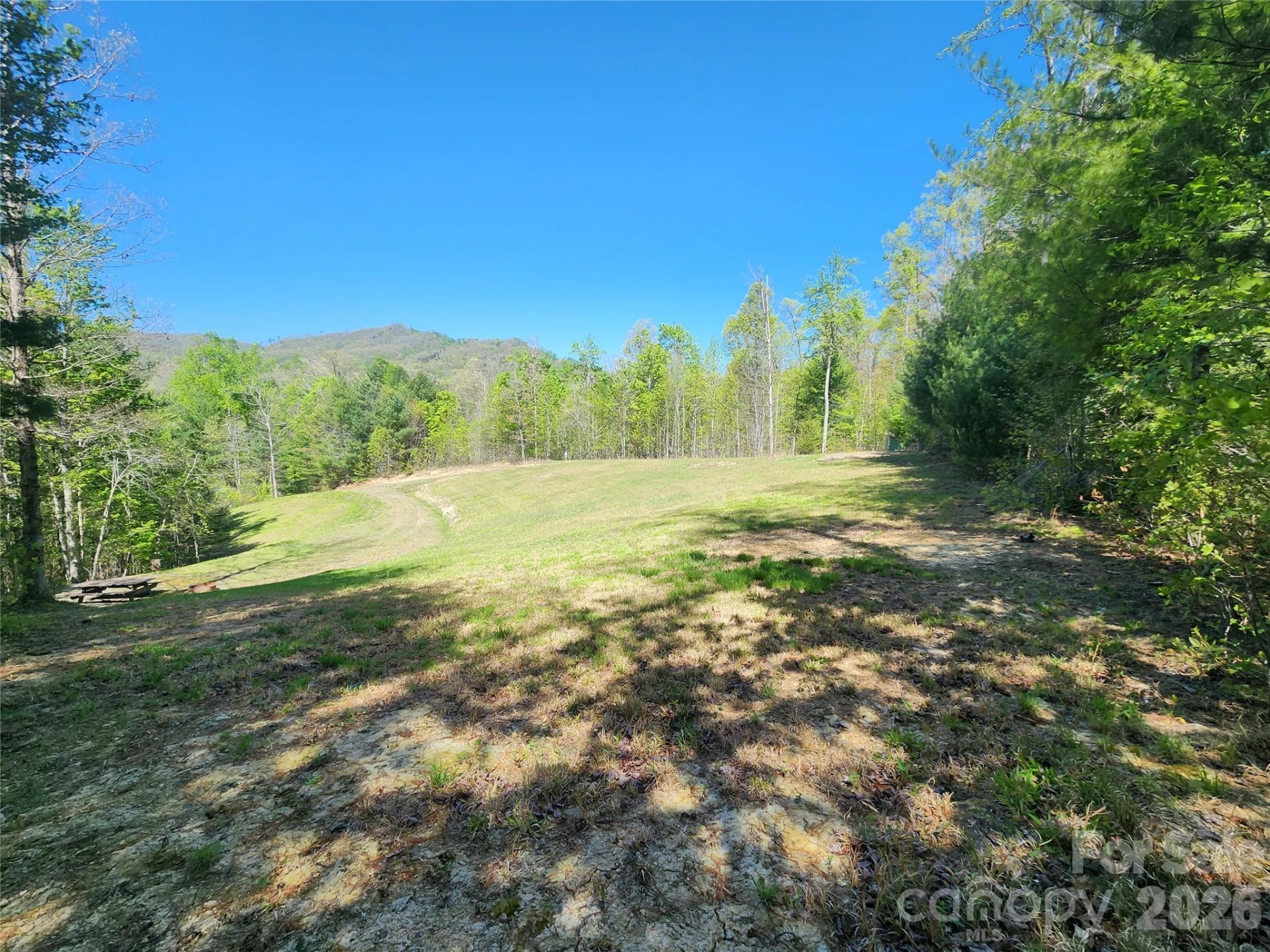 889 Firefly Trail - Photo 7