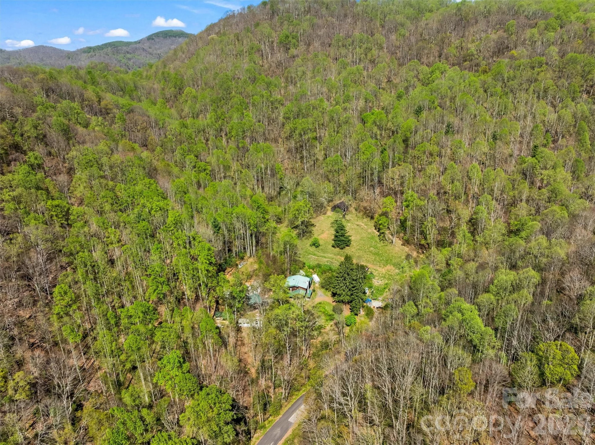 1717 Howard Moore Road - Photo 41