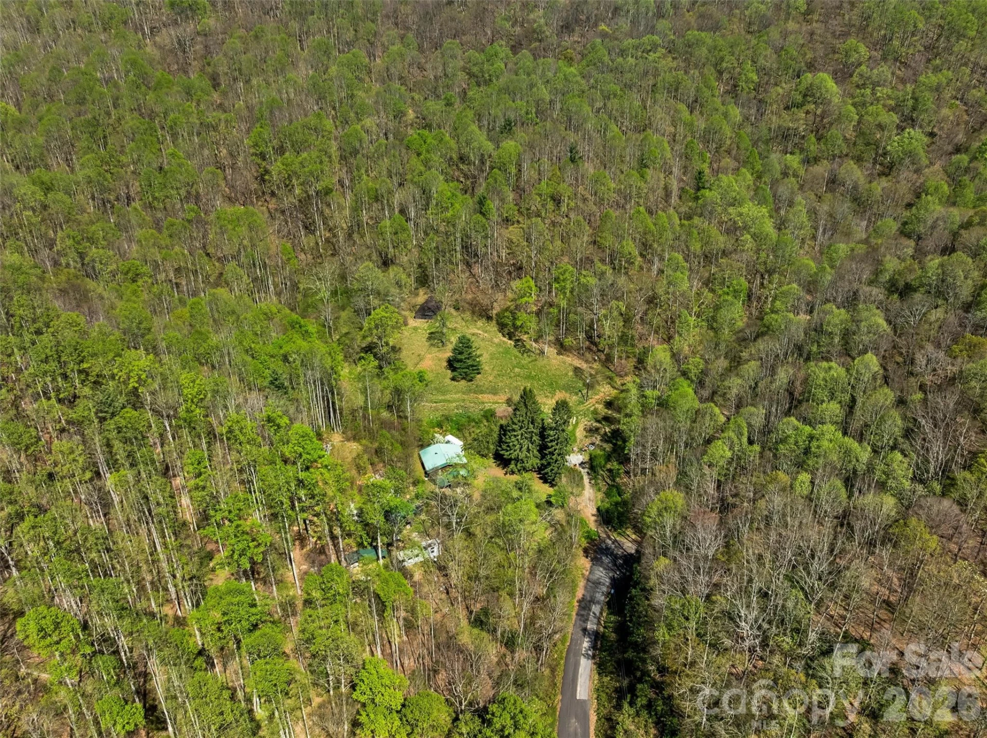 1717 Howard Moore Road - Photo 42