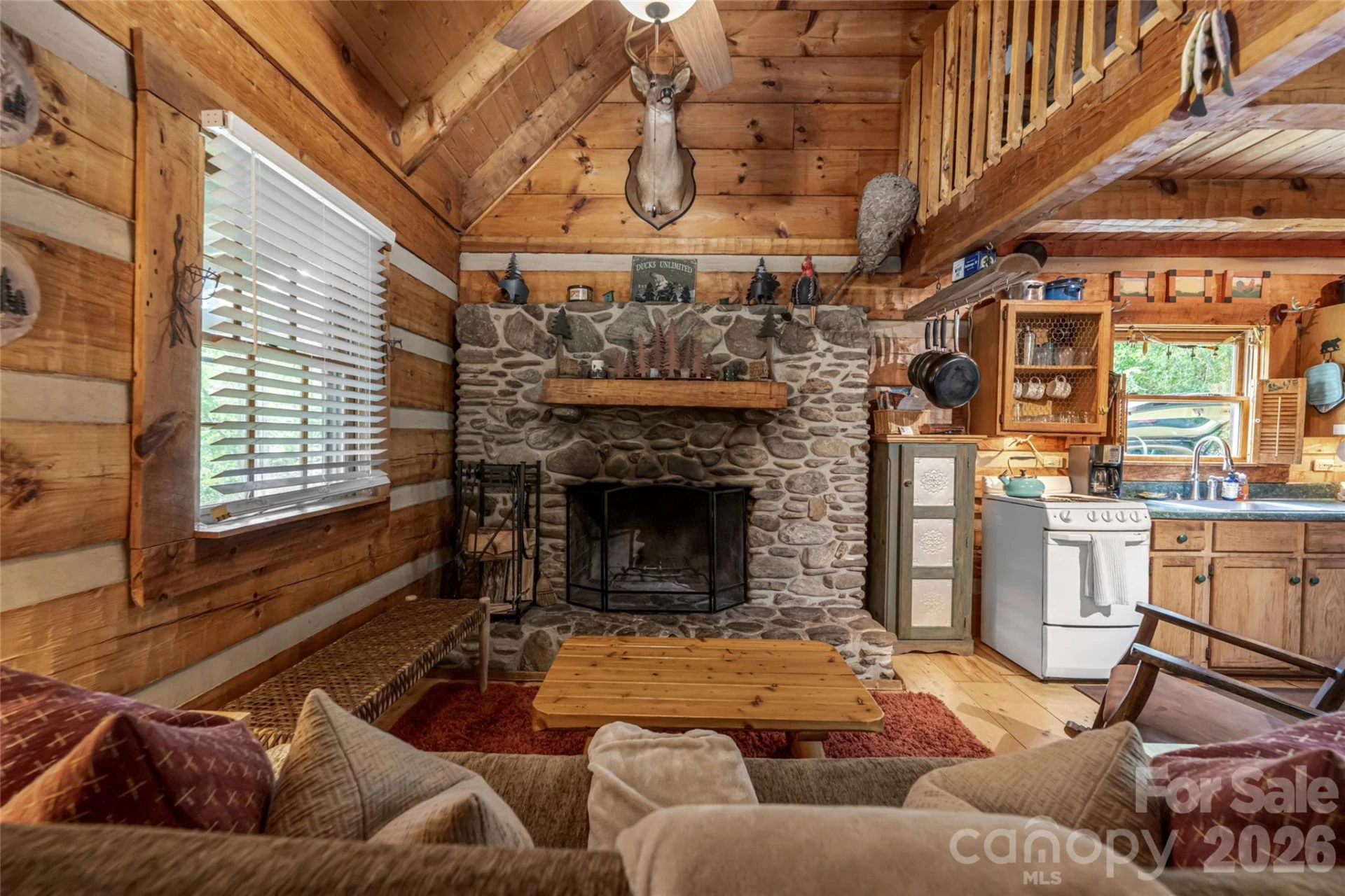 119 Old Salem Branch Drive - Photo 11