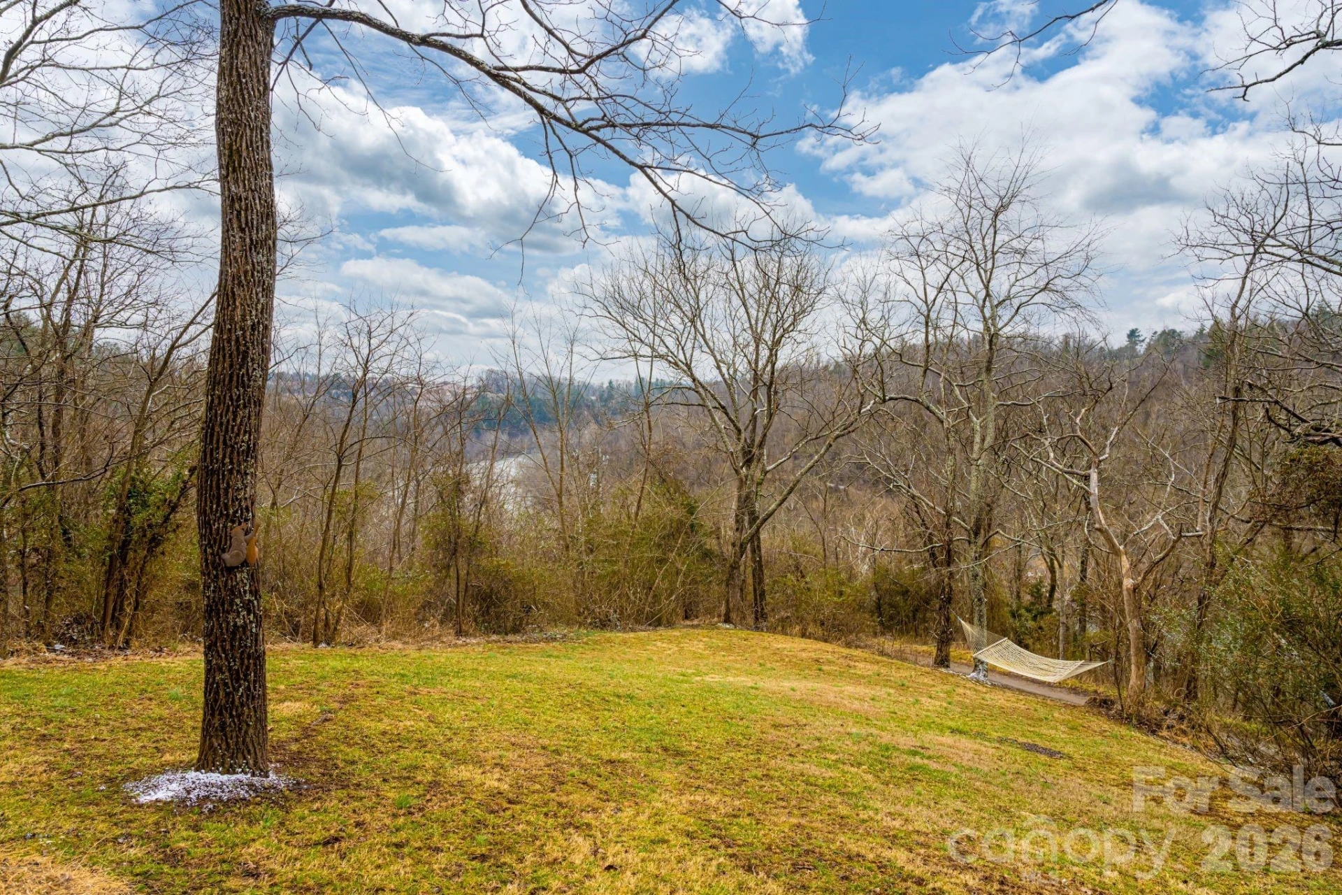 119 Old Salem Branch Drive - Photo 32