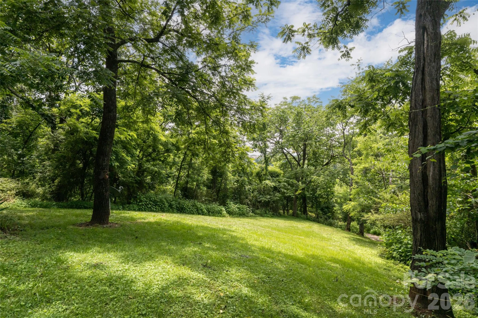 119 Old Salem Branch Drive - Photo 7