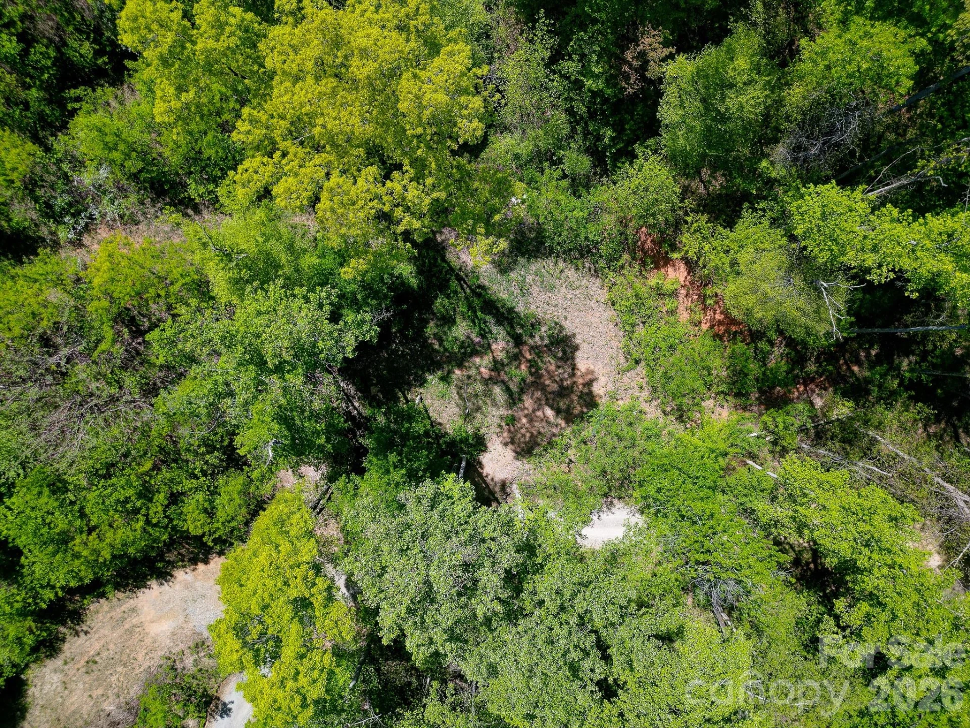 109 & 99999 Apgar Road - Photo 14