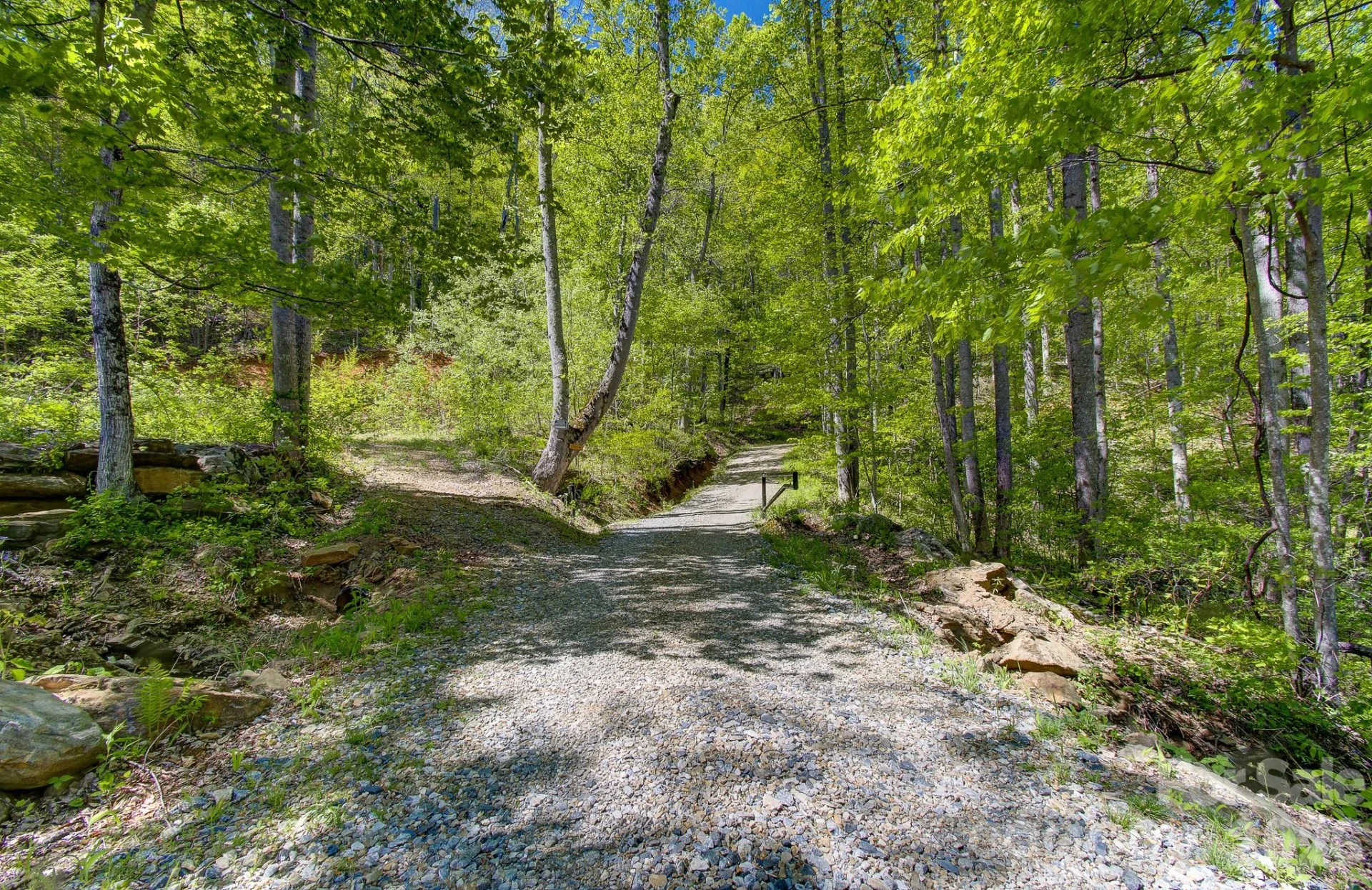 109 & 99999 Apgar Road - Photo 35