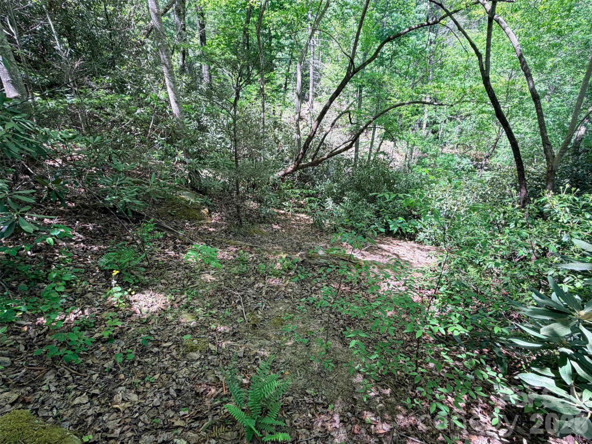595 Quail Ridge Boulevard - Photo 8