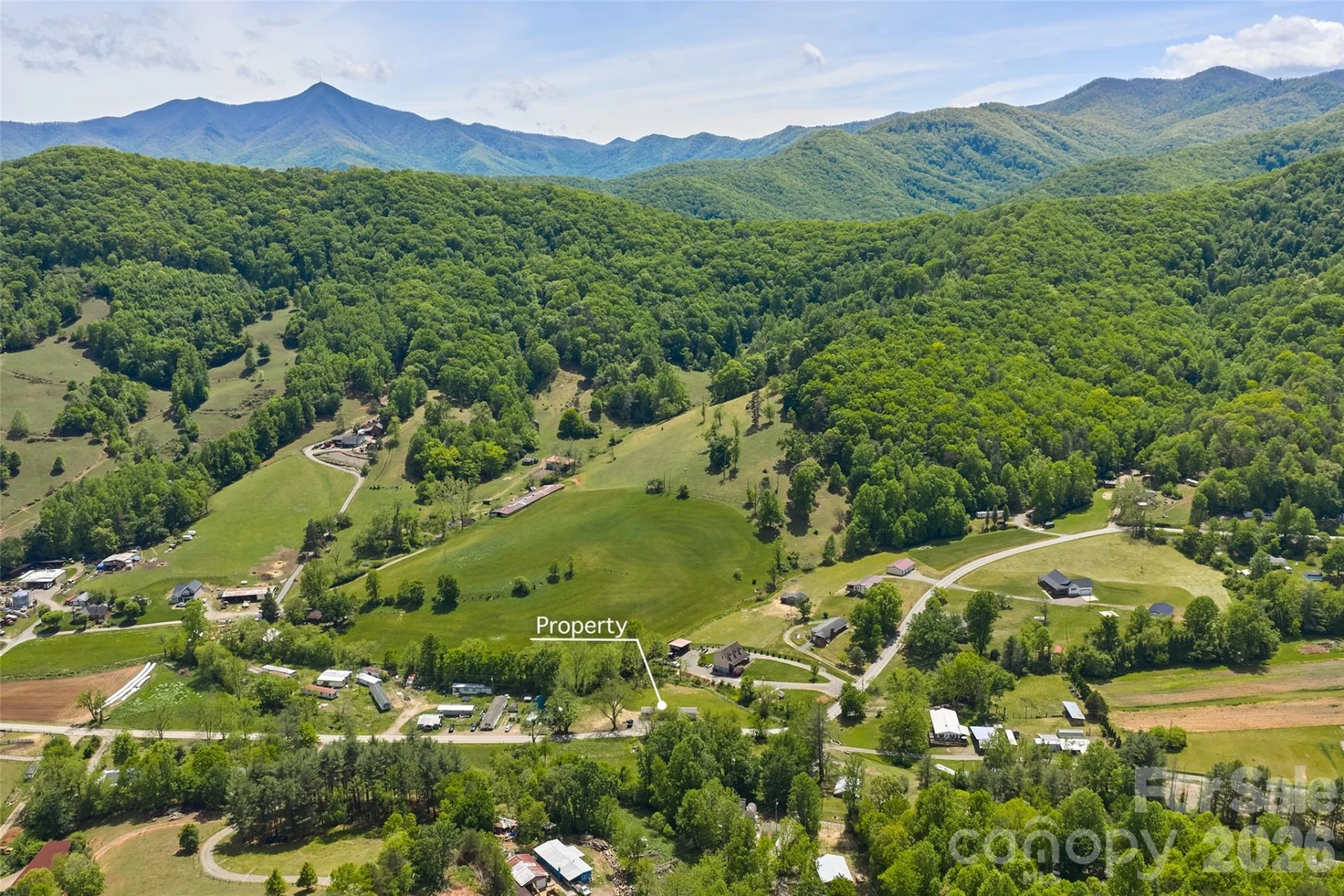 265 Curtis Creek Road - Photo 17