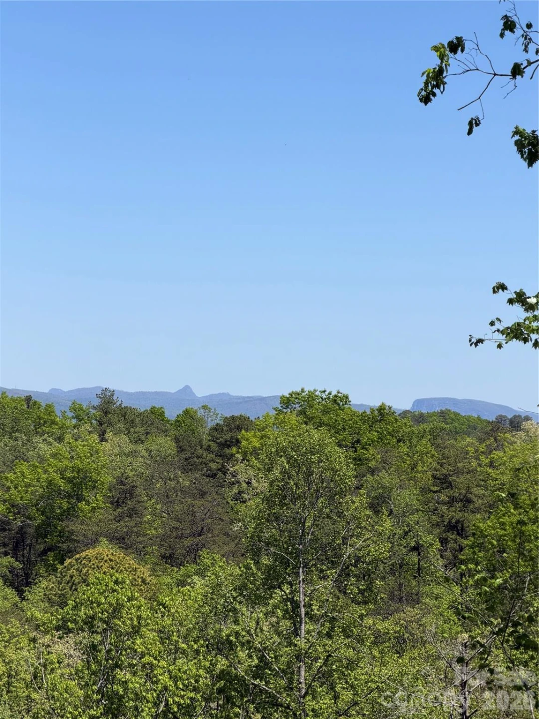 00 West Wood Drive #LOT B - Photo 5