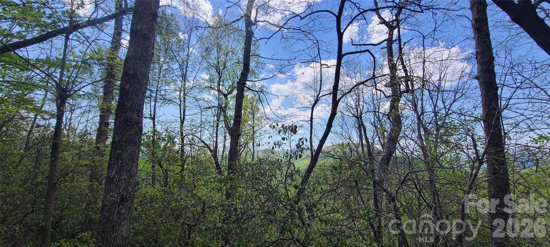 102 High Cliffs Trail - Photo 2