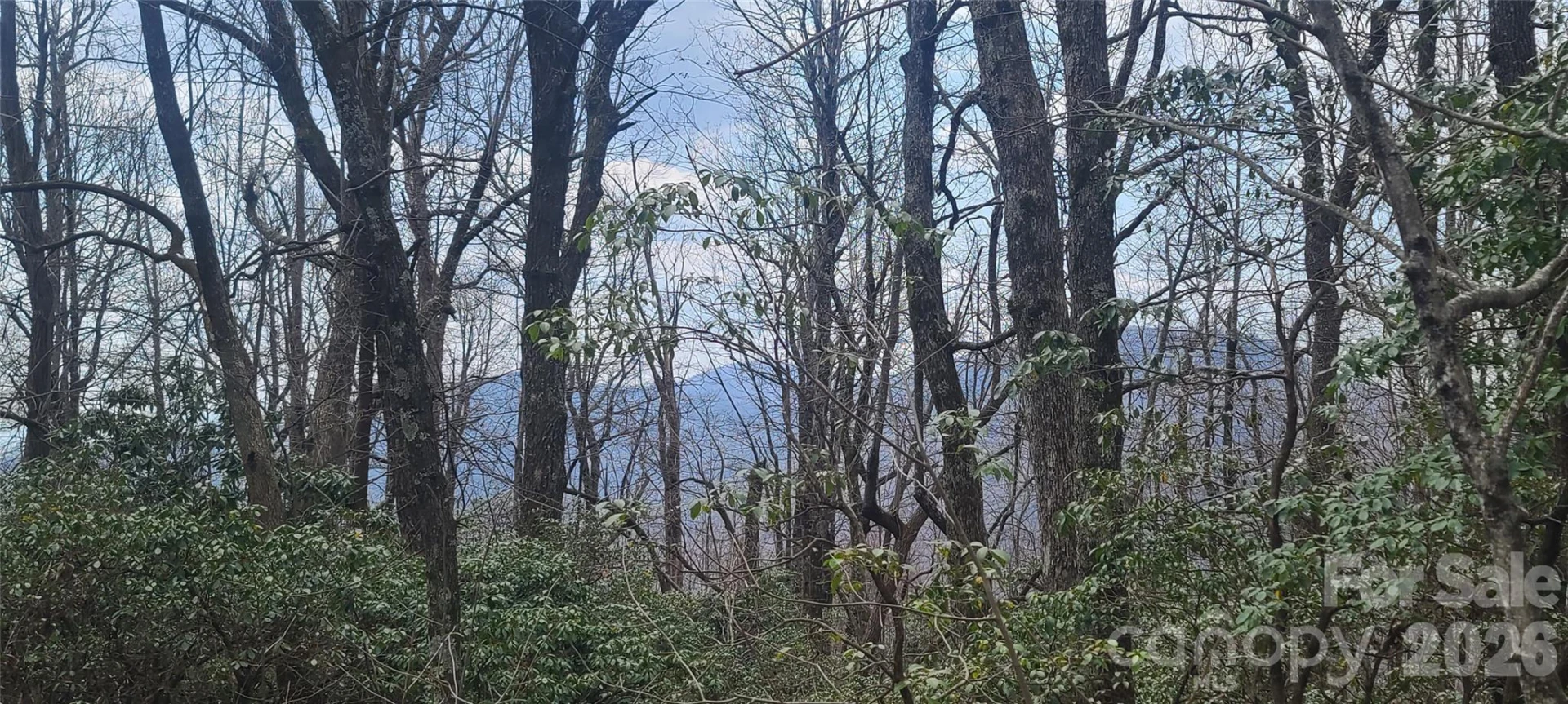 102 High Cliffs Trail - Photo 8