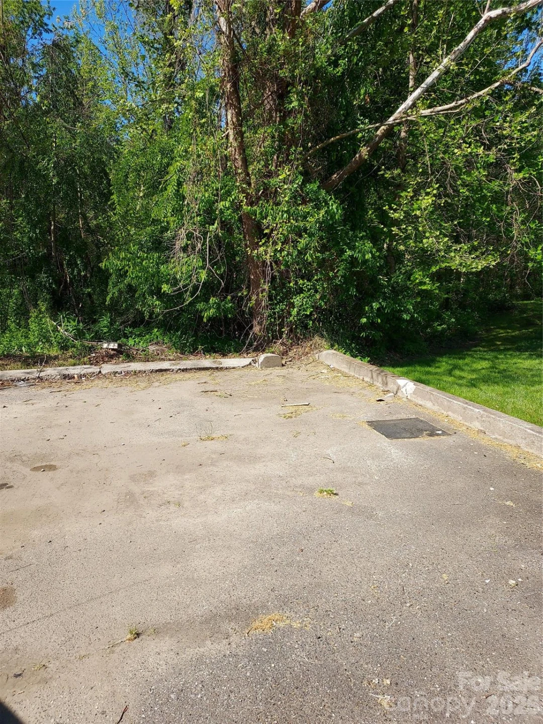 0 Catawba River Road - Photo 6
