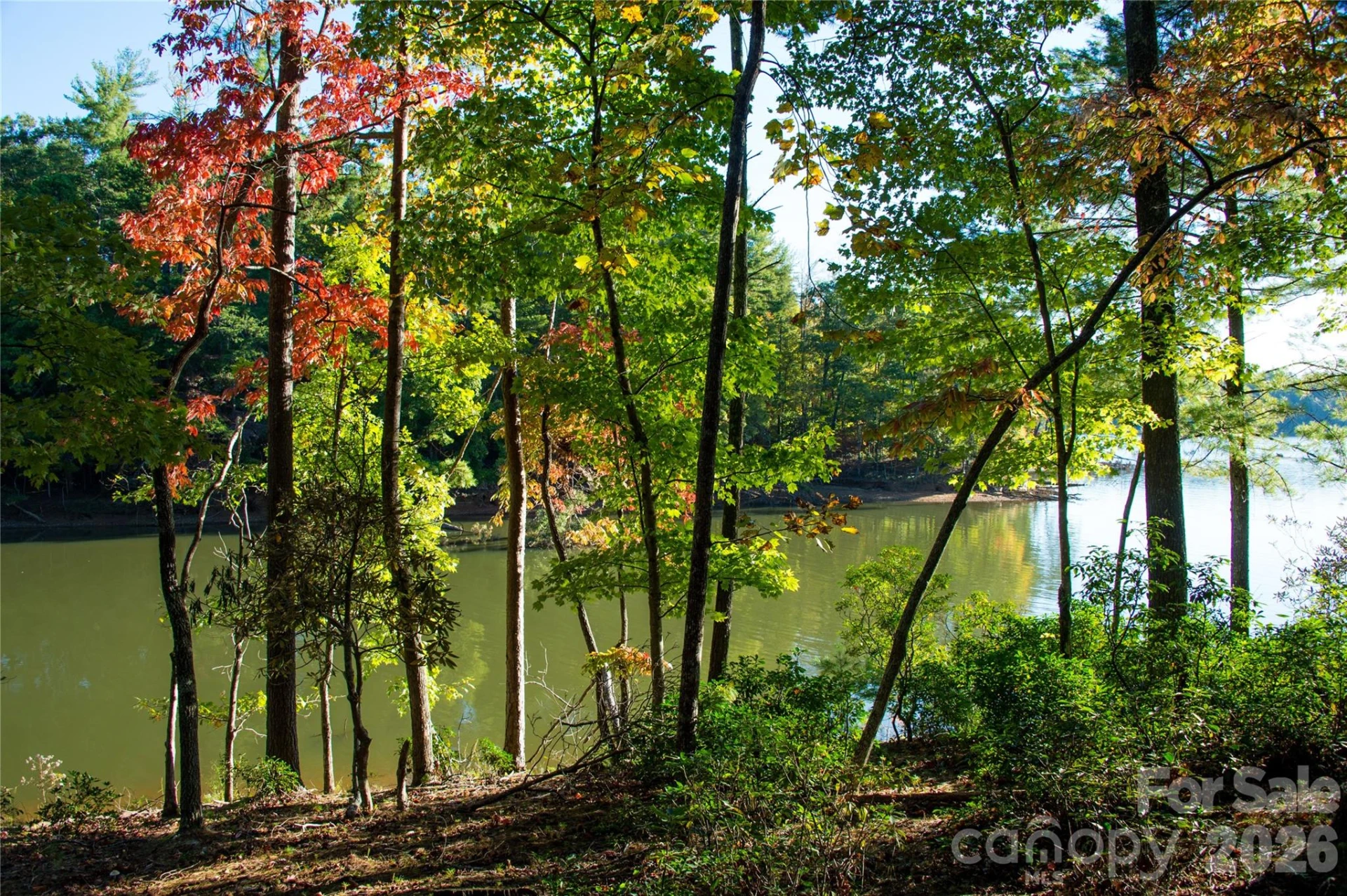 179 Turtle Head Drive #14 - Photo 23