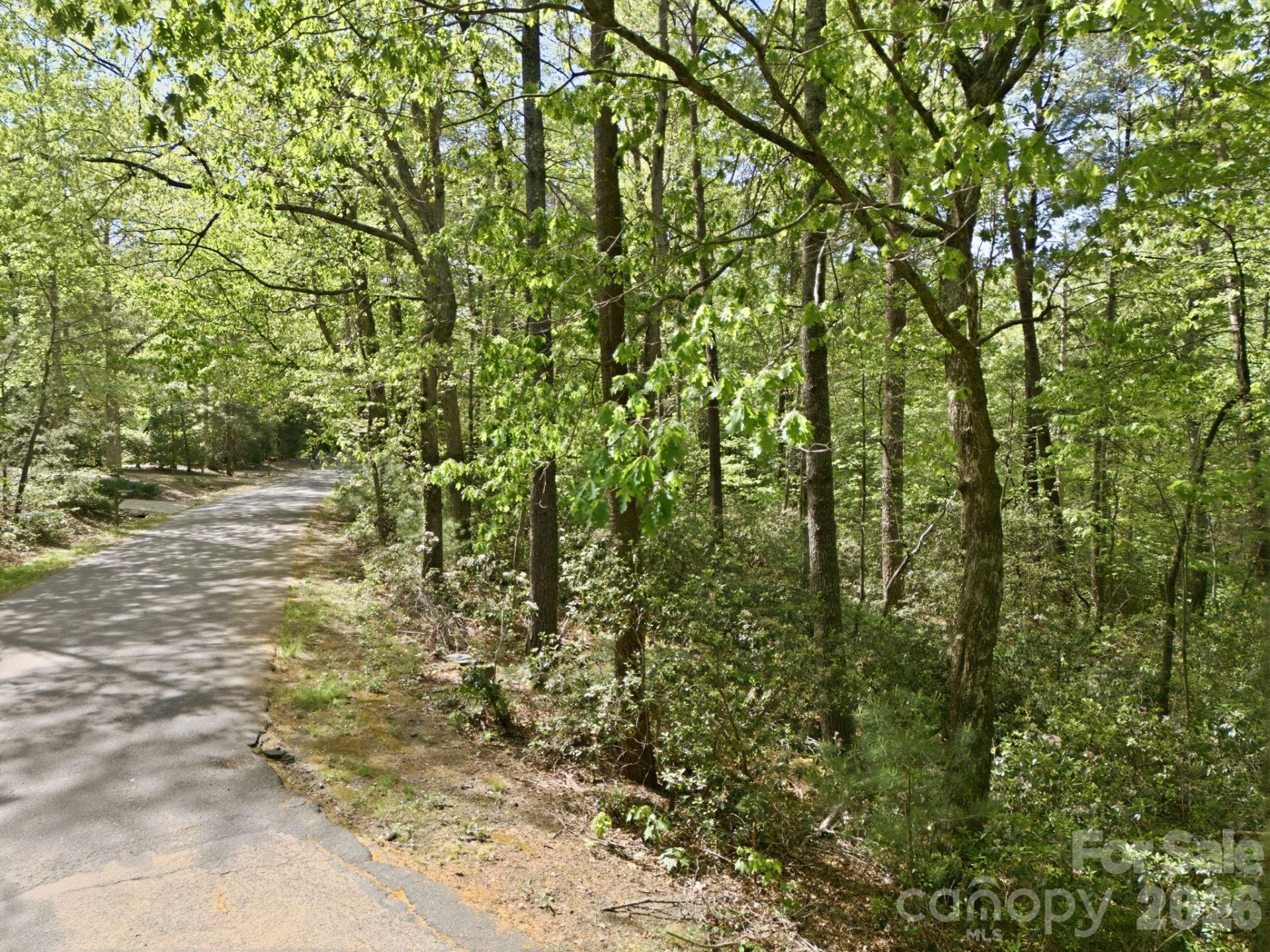 Lot 50 Huntington Road #50 - Photo 3