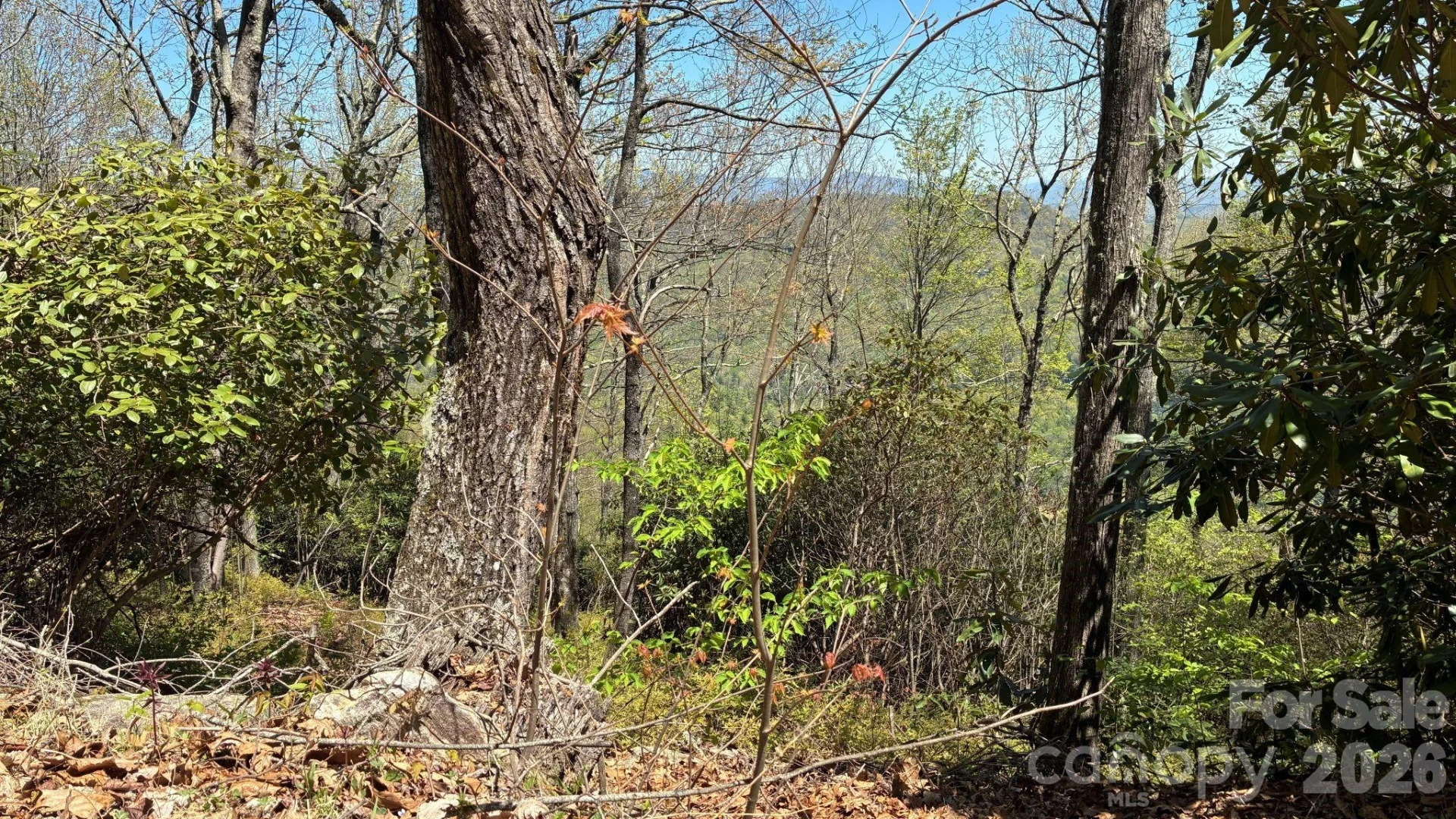 P 2 L020RV Toxaway Cliff #20 - Photo 11