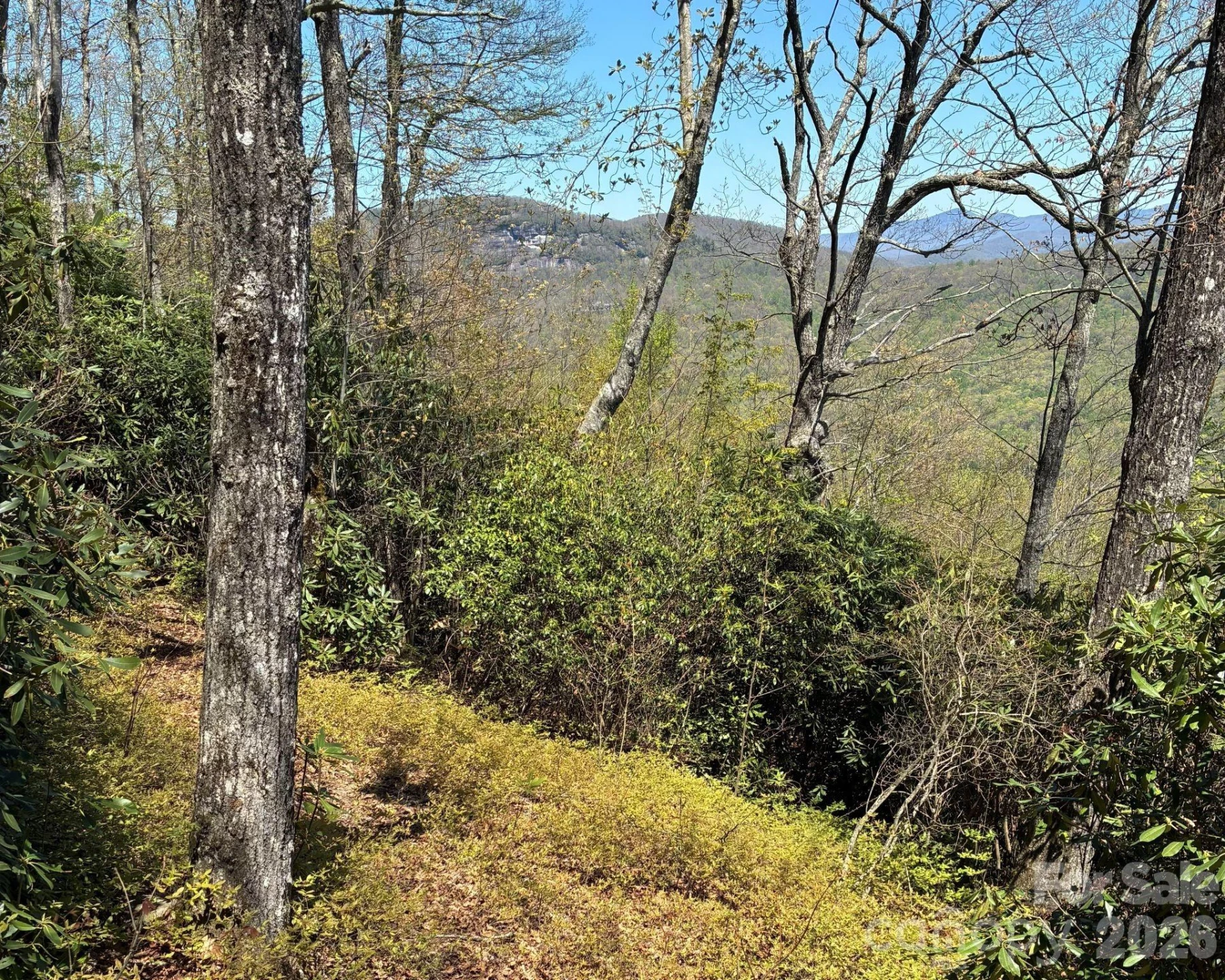 P 2 L020RV Toxaway Cliff #20 - Photo 4
