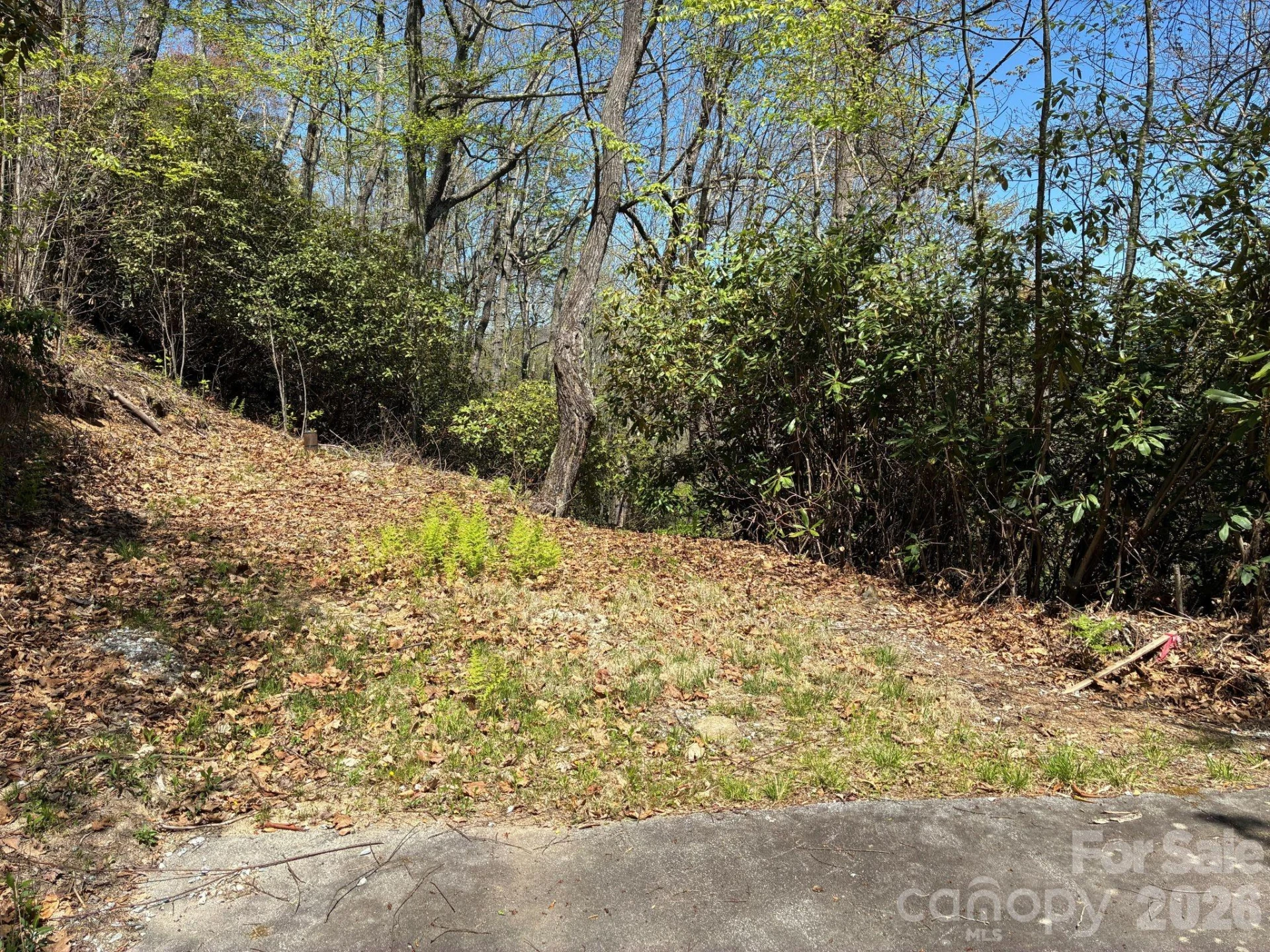 P 2 L020RV Toxaway Cliff #20 - Photo 5