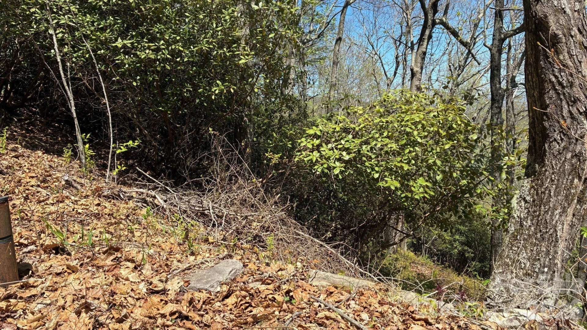 P 2 L020RV Toxaway Cliff #20 - Photo 6