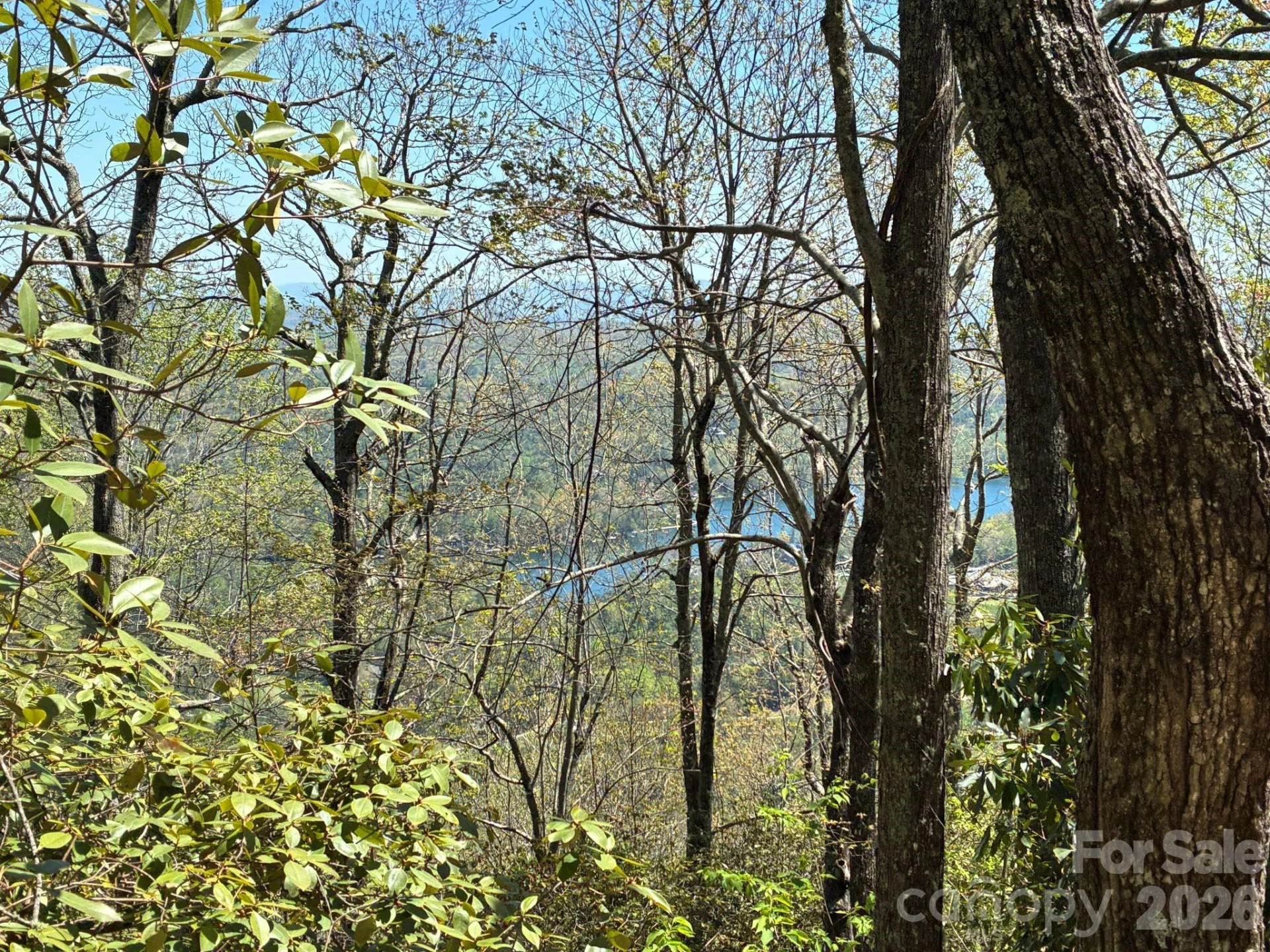 P 2 L020RV Toxaway Cliff #20 - Photo 9