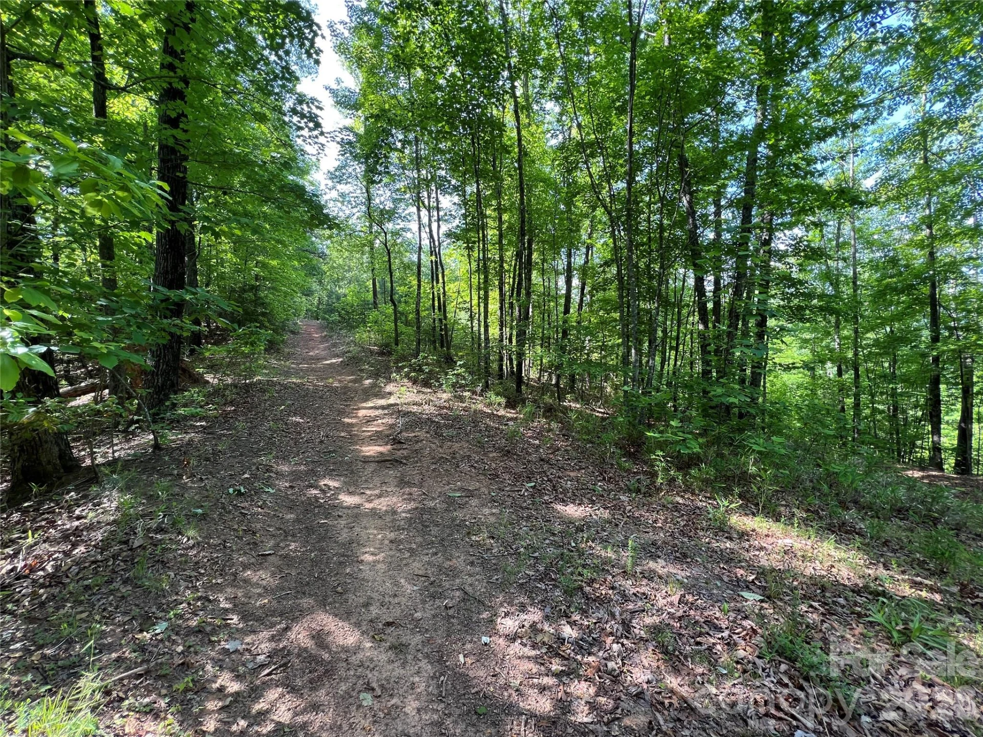 V/L Woodchuck Lane #117 - Photo 4