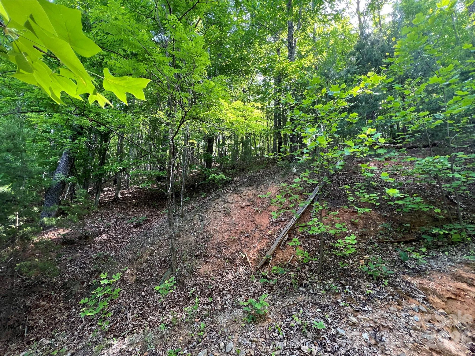 V/L Woodchuck Lane #117 - Photo 5