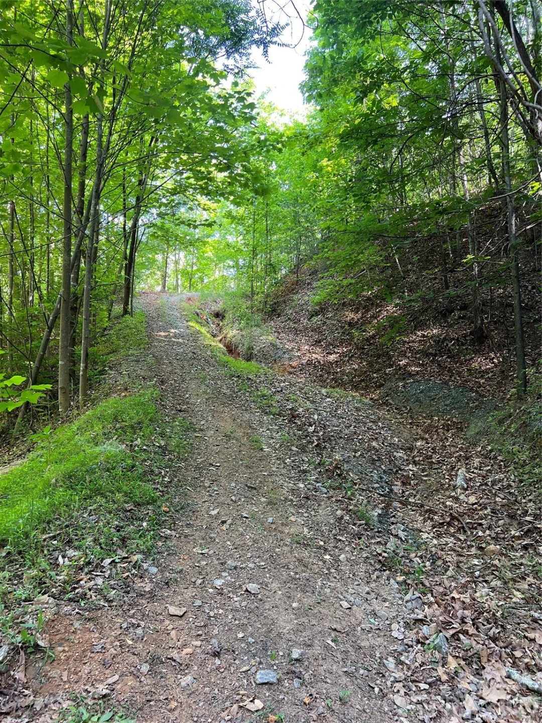 V/L Woodchuck Lane #117 - Photo 8