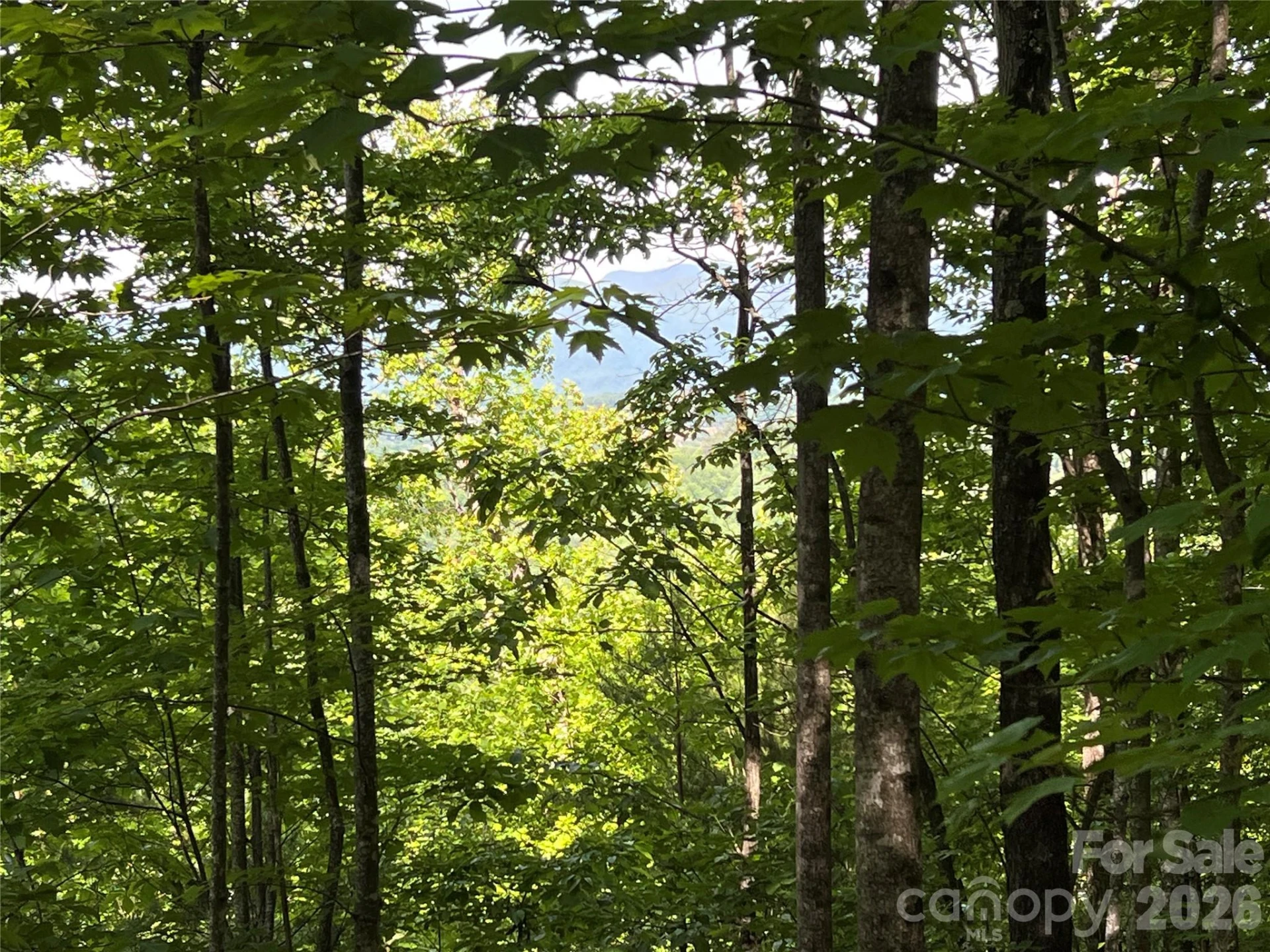 V/L Woodchuck Lane #117 - Photo 9