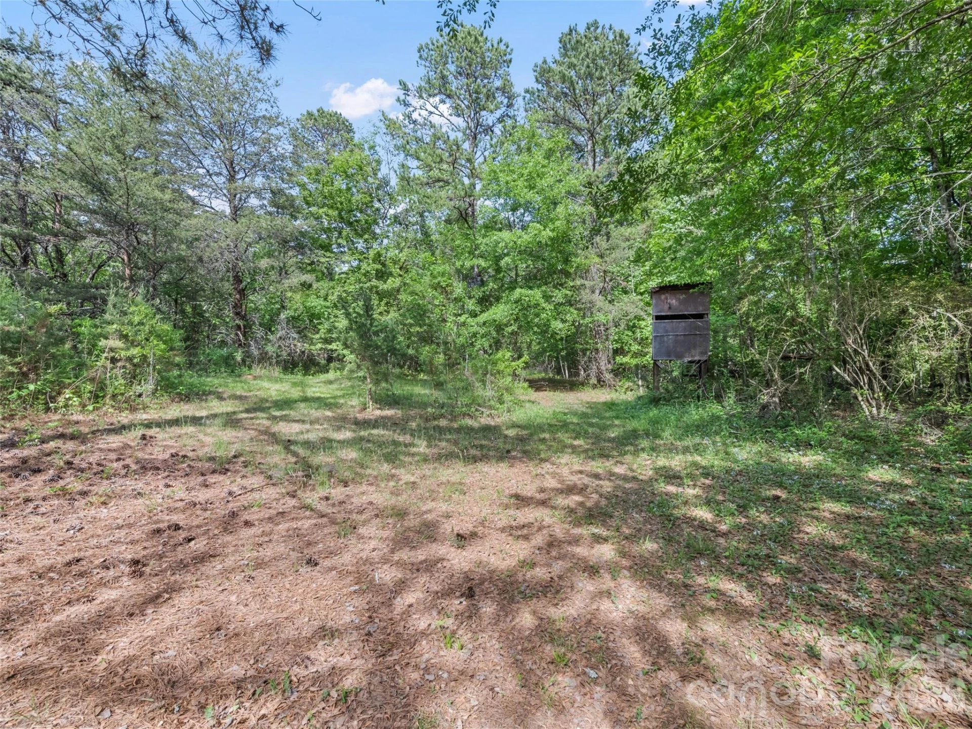 311 Soco Gap Road - Photo 14