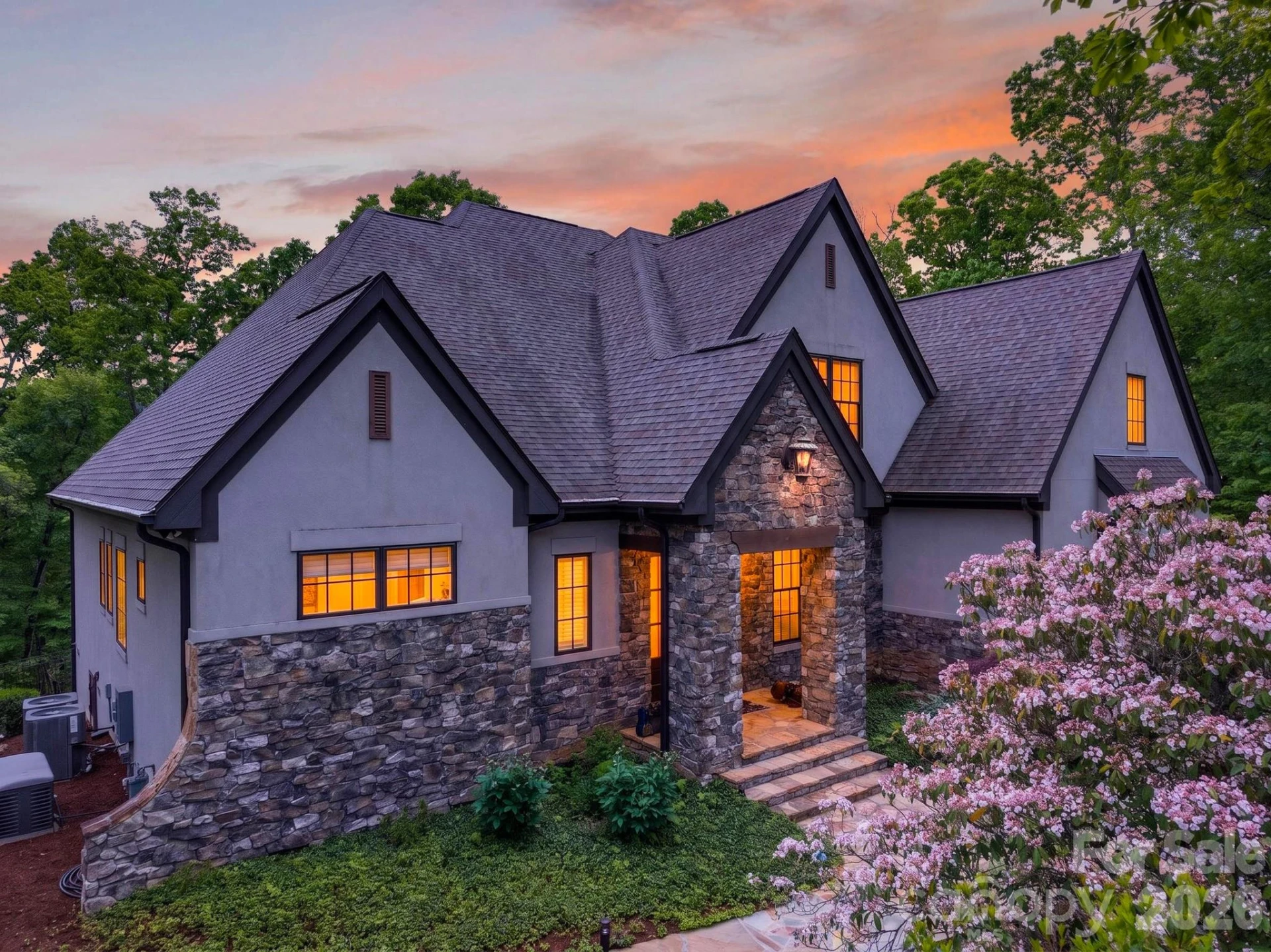 671 Mills River Way - Photo 2