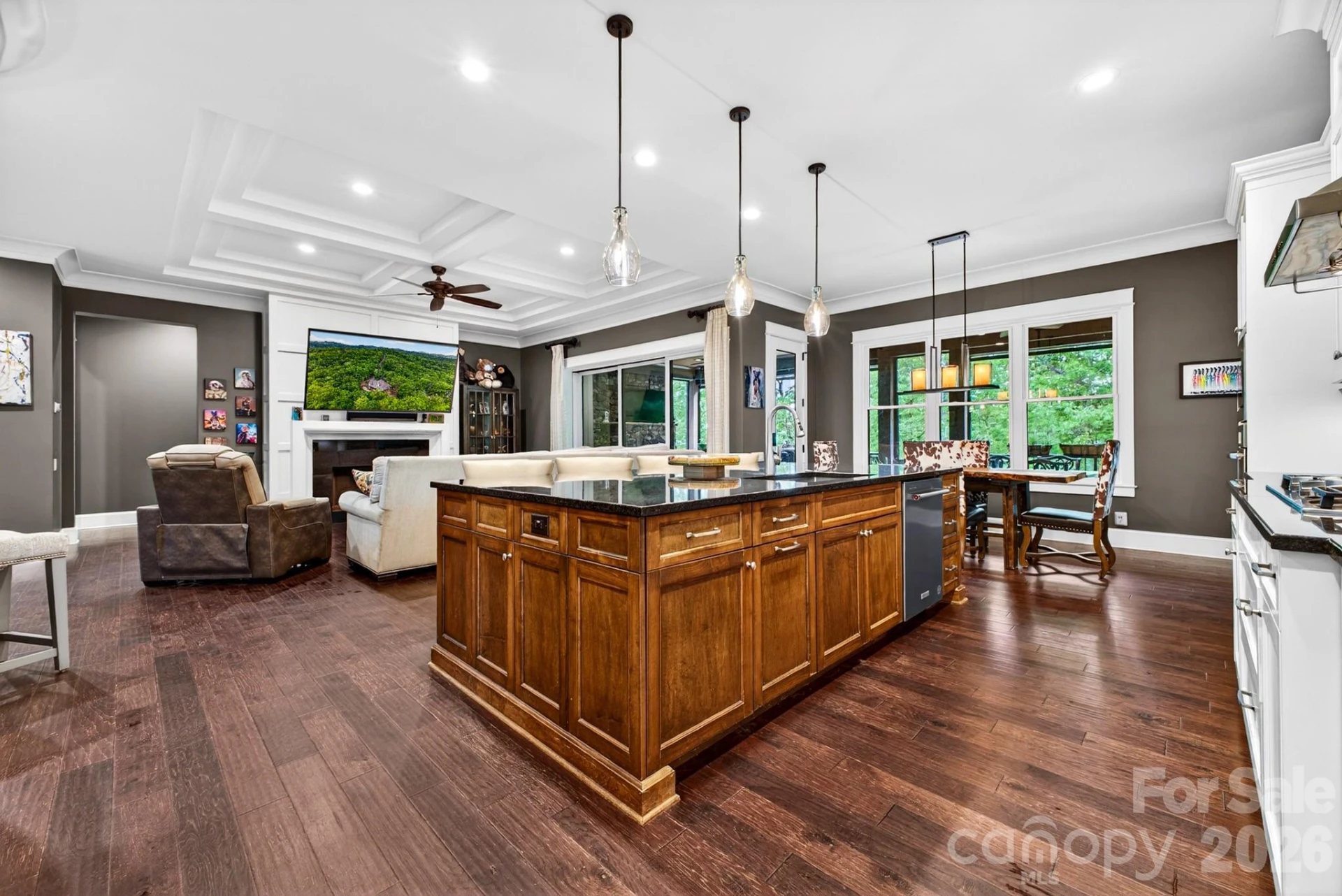 671 Mills River Way - Photo 12