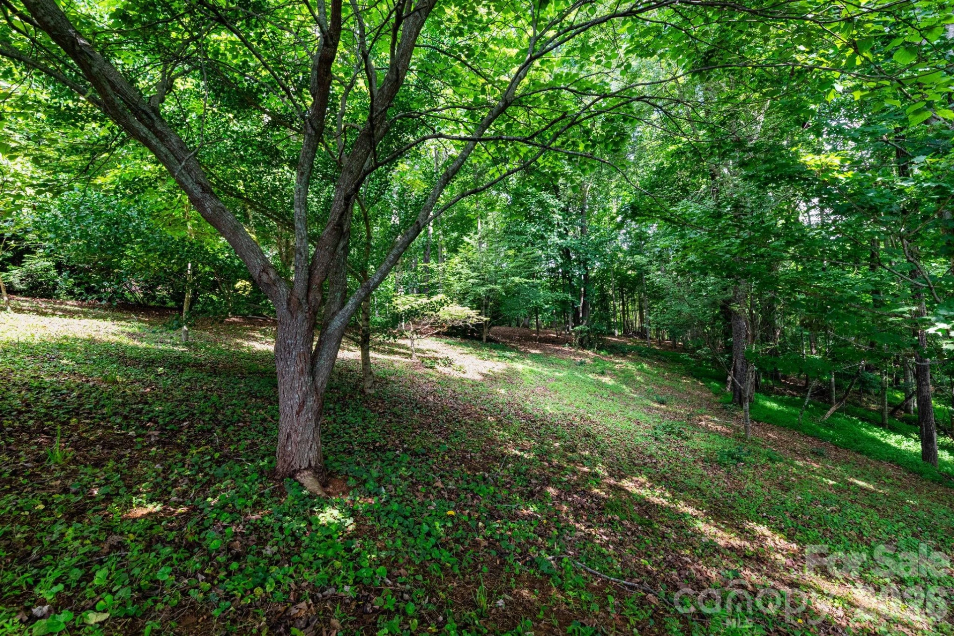 44 Deer Meadows Drive - Photo 31