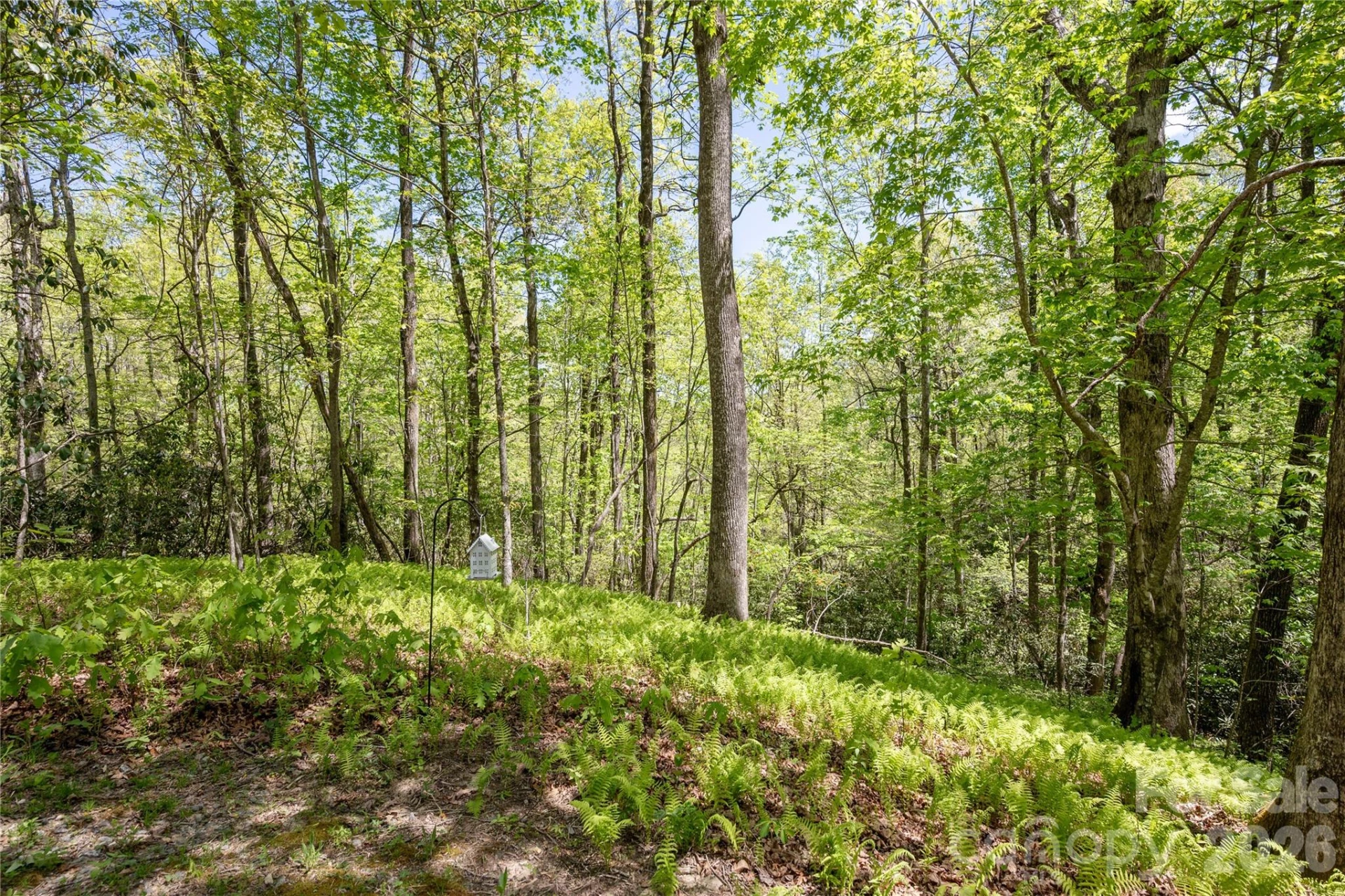 139 Panther Gap Road - Photo 24