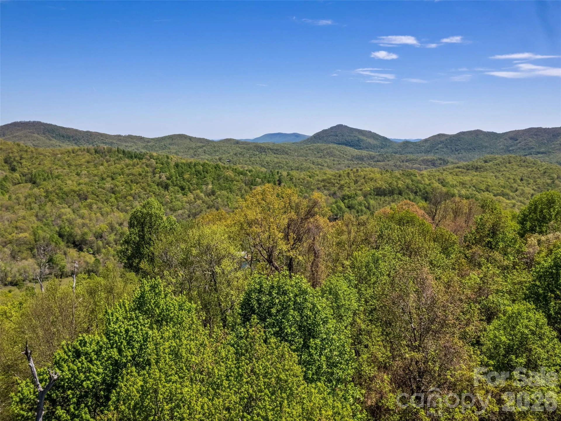 1372 Sand Branch Road - Photo 20