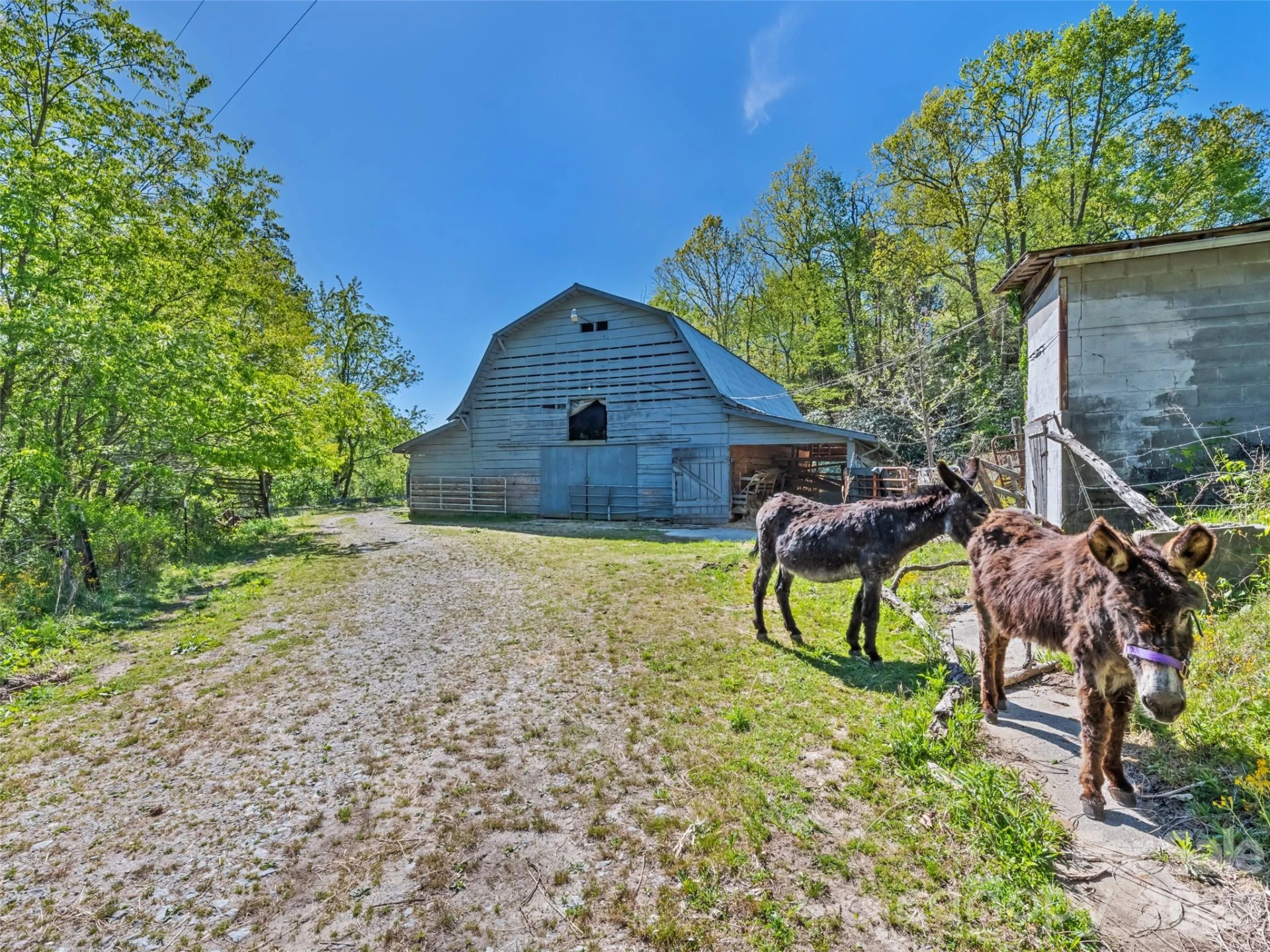 1372 Sand Branch Road - Photo 21