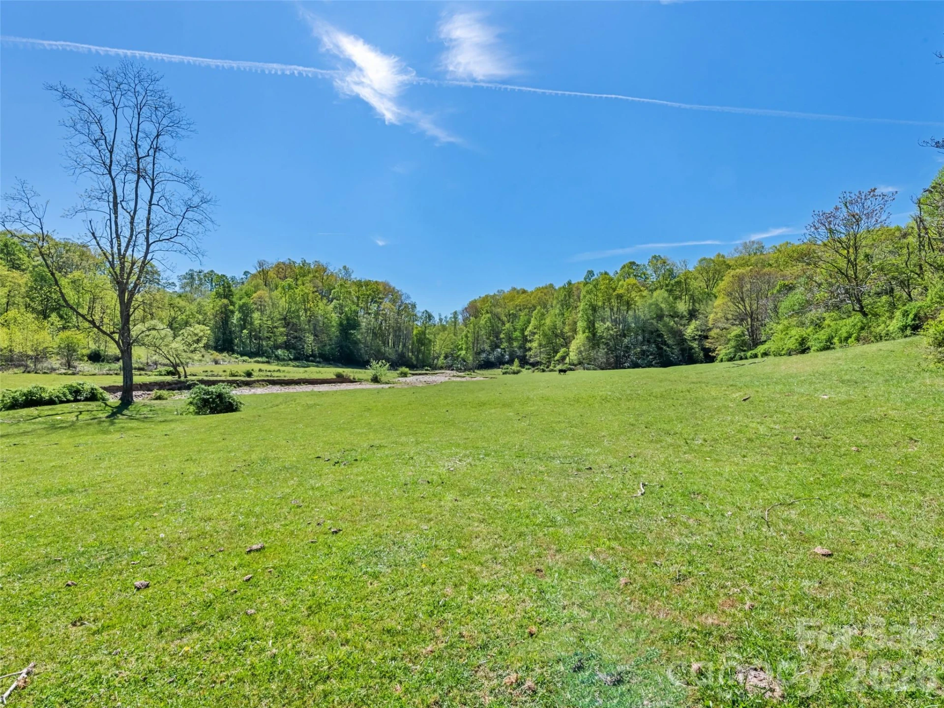 1372 Sand Branch Road - Photo 28