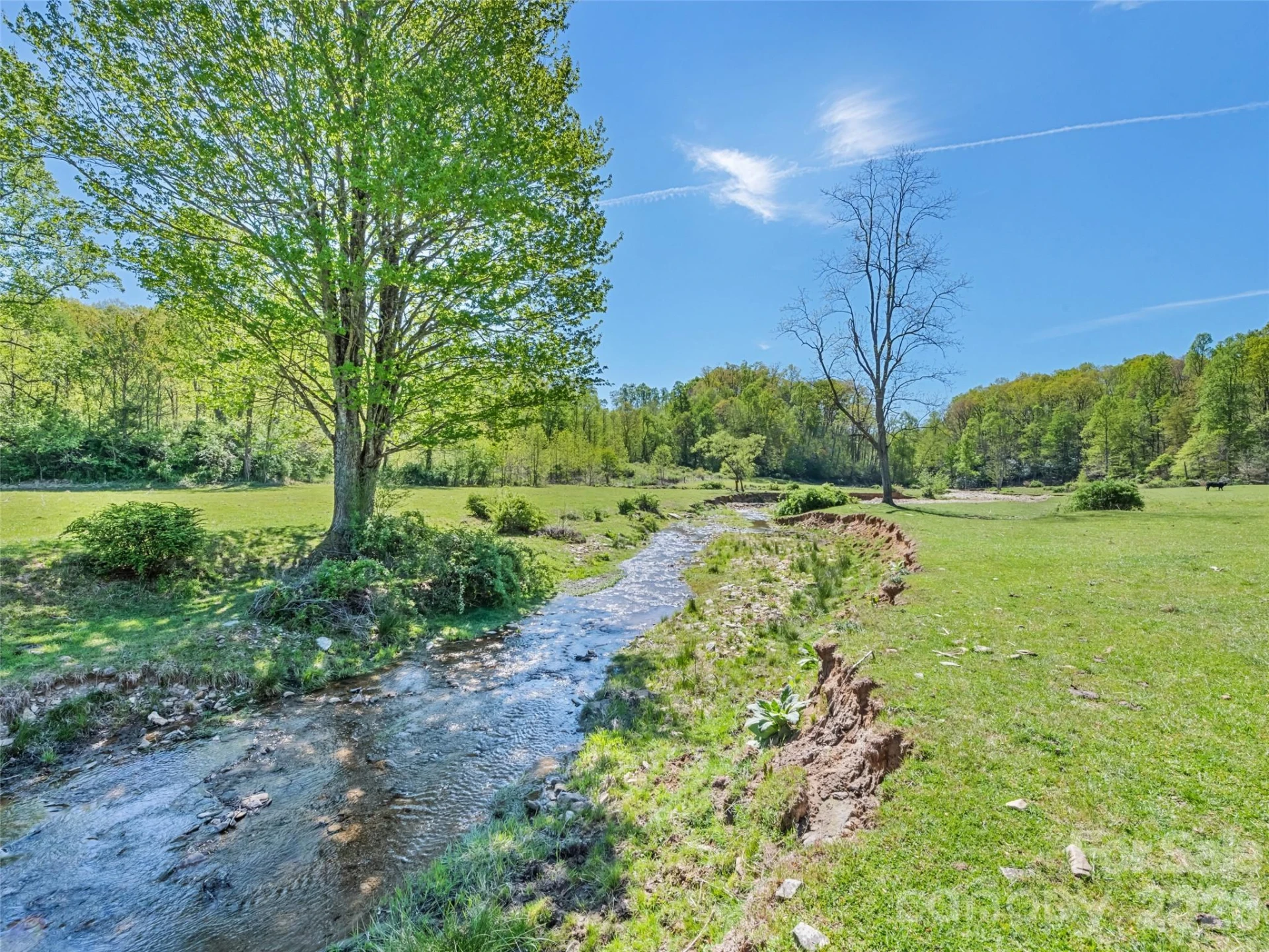 1372 Sand Branch Road - Photo 29
