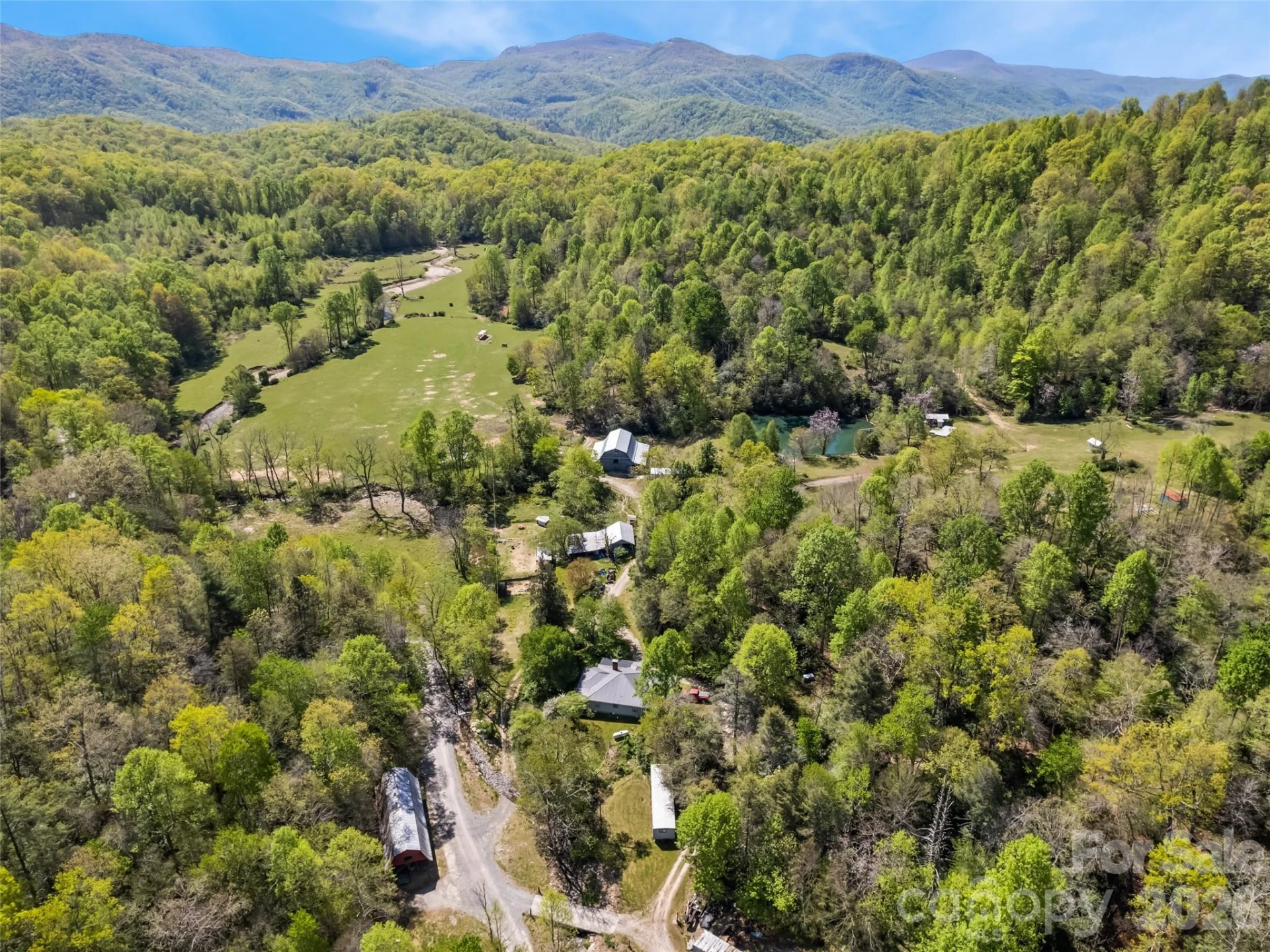 1372 Sand Branch Road - Photo 3